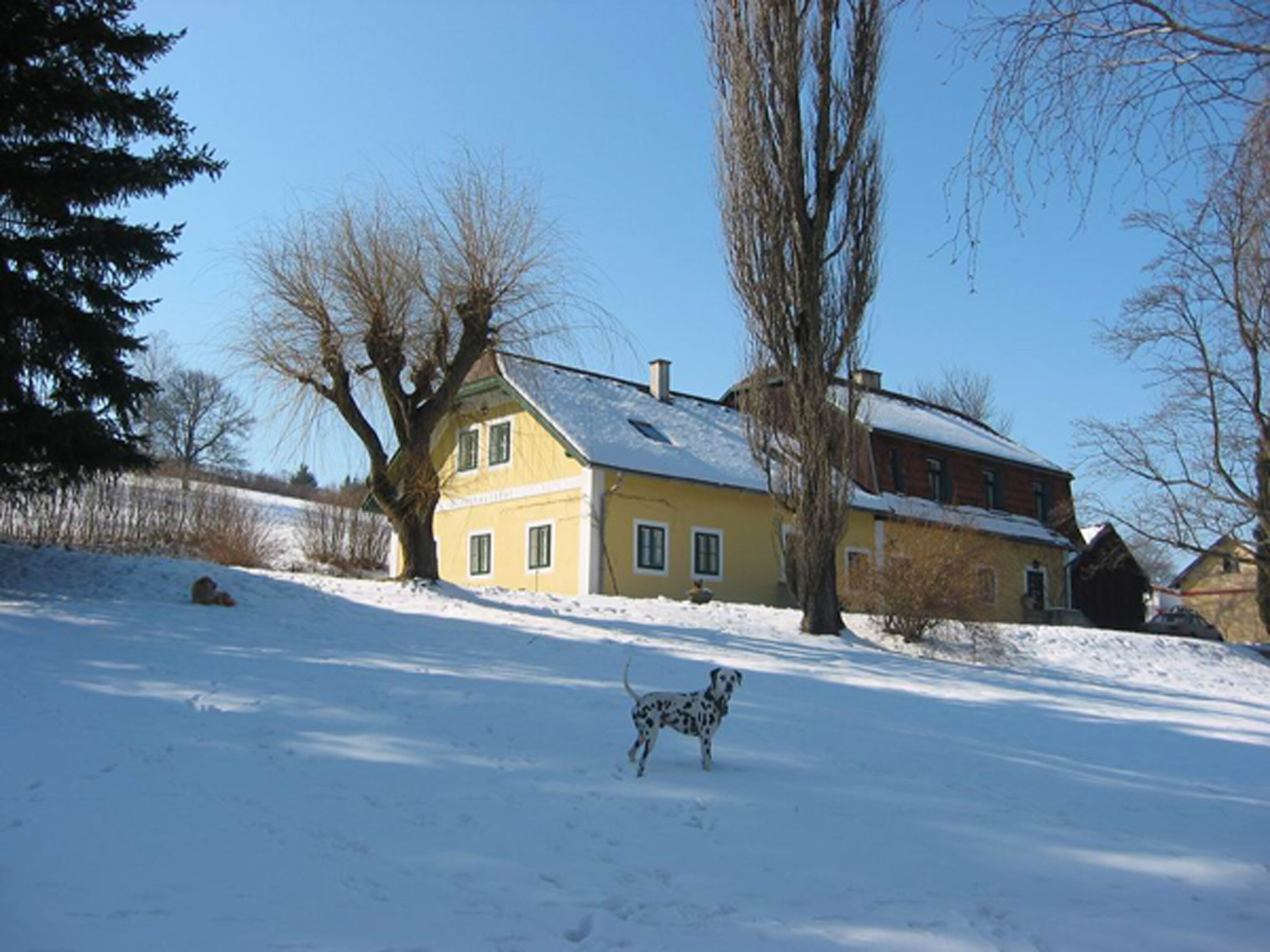 Winterimpressionen