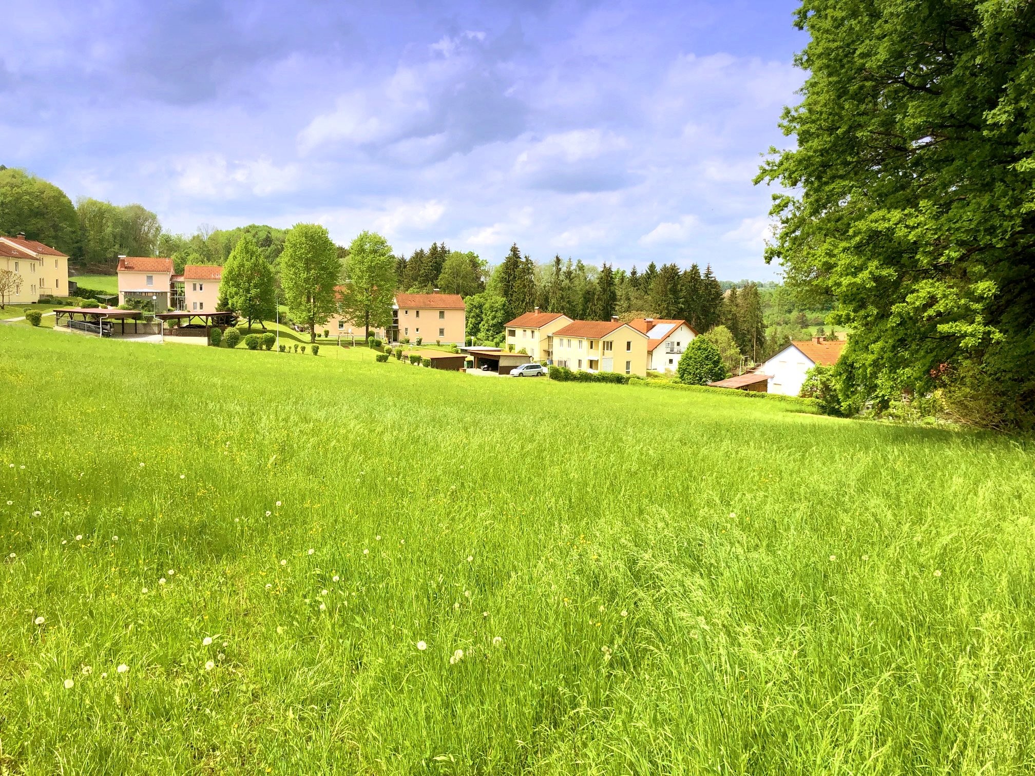 Blick auf die Umgebung