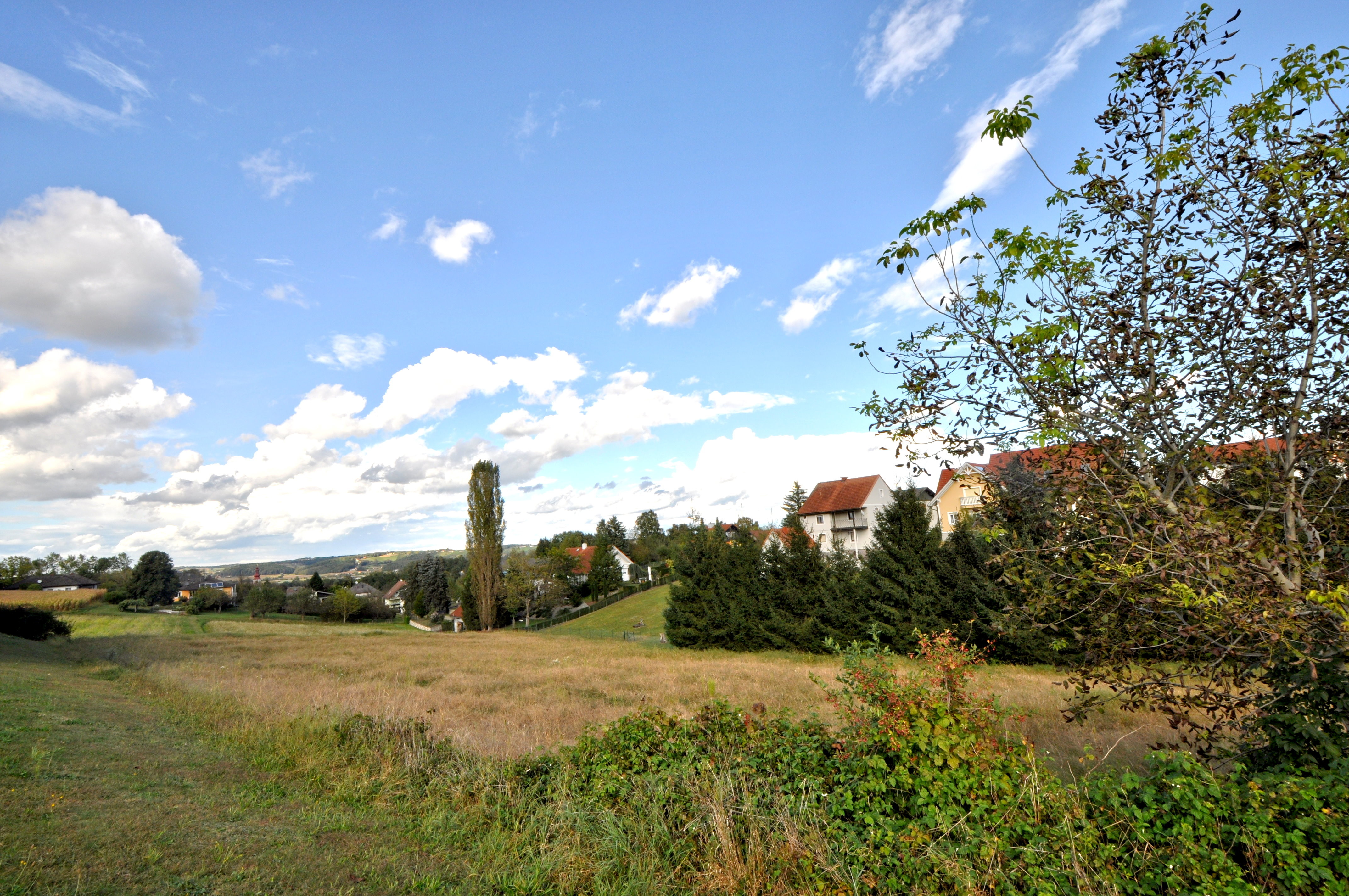 Blick auf das Grundstück