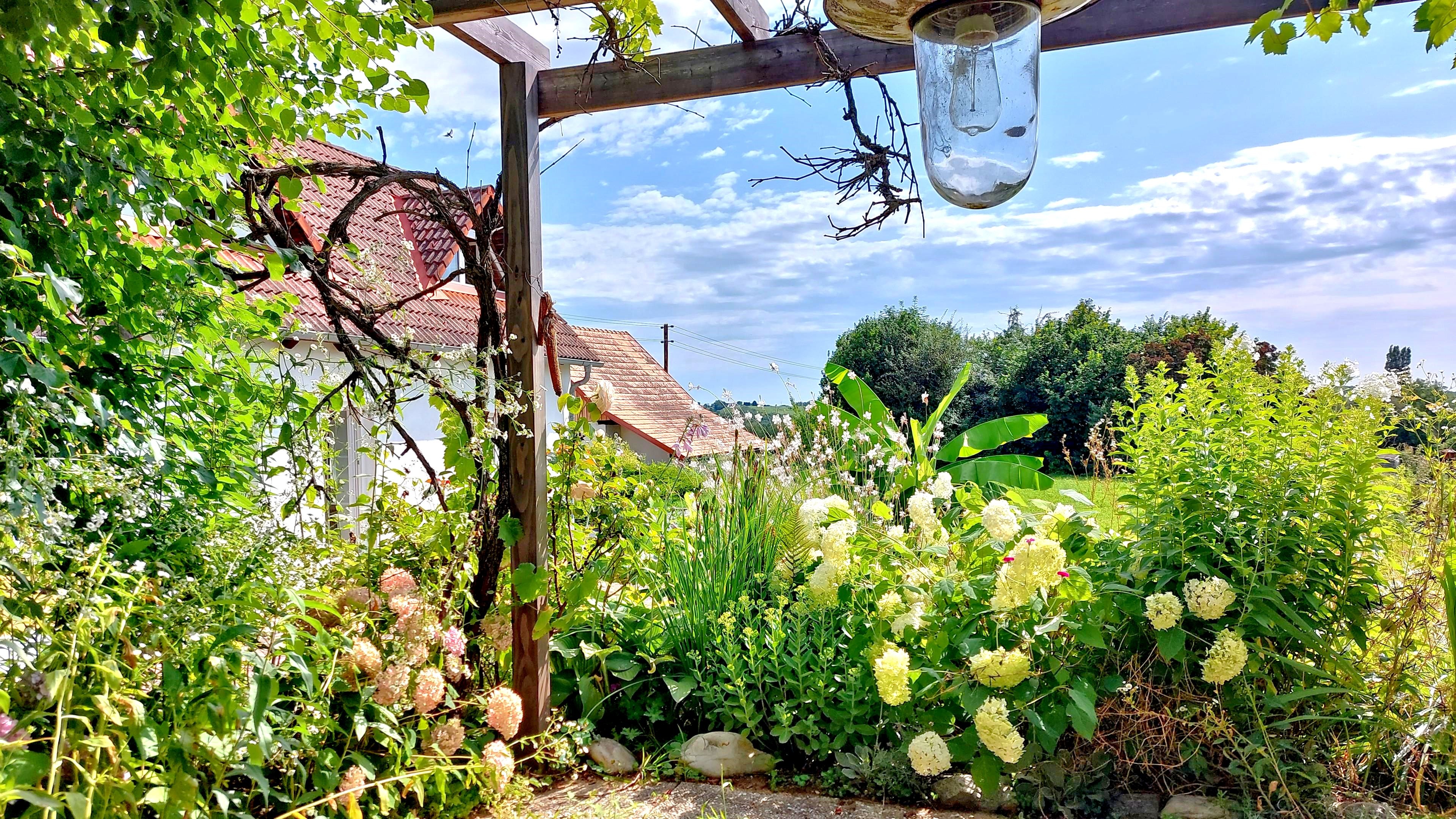 Auf der Terrasse wenn es blüht