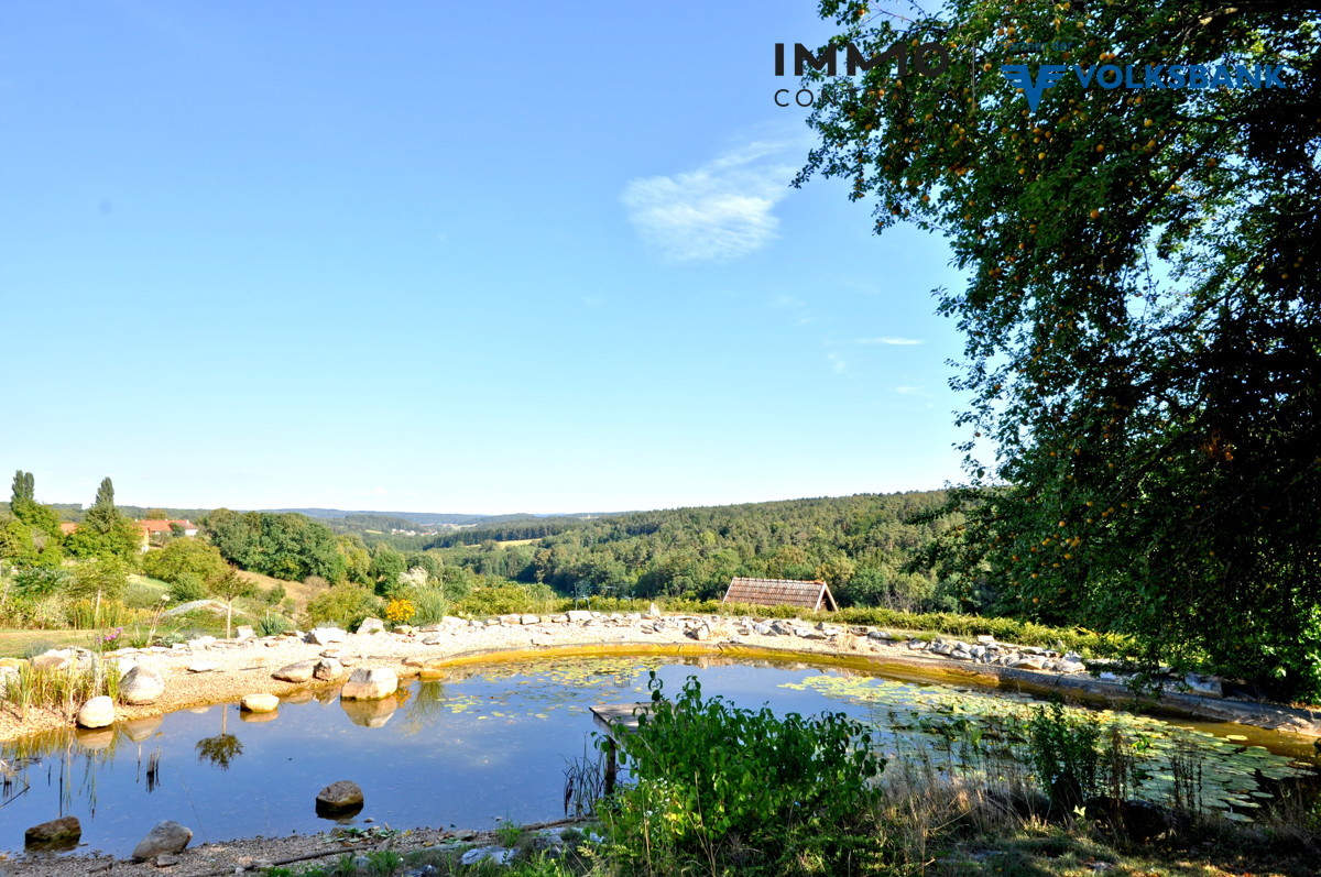 Schwimmteichblick