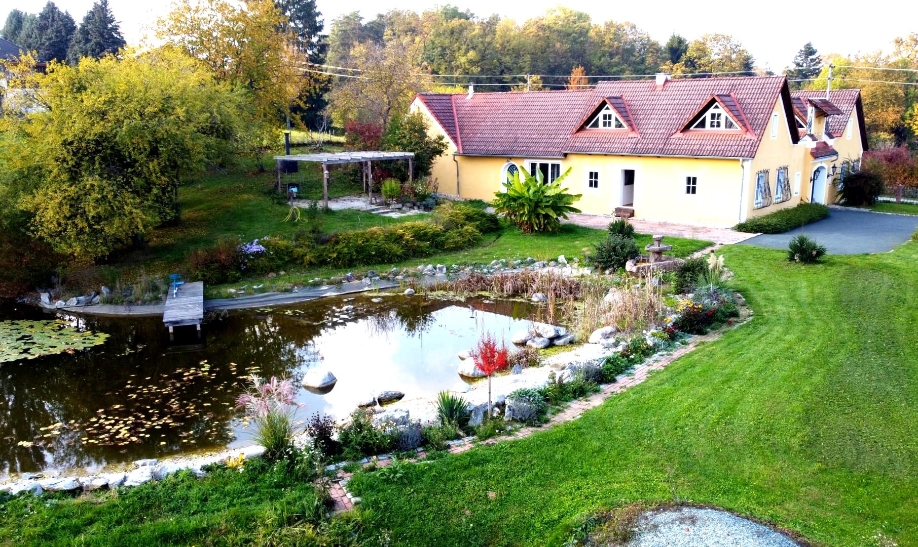 Schwimmteich und Blick auf den Hof