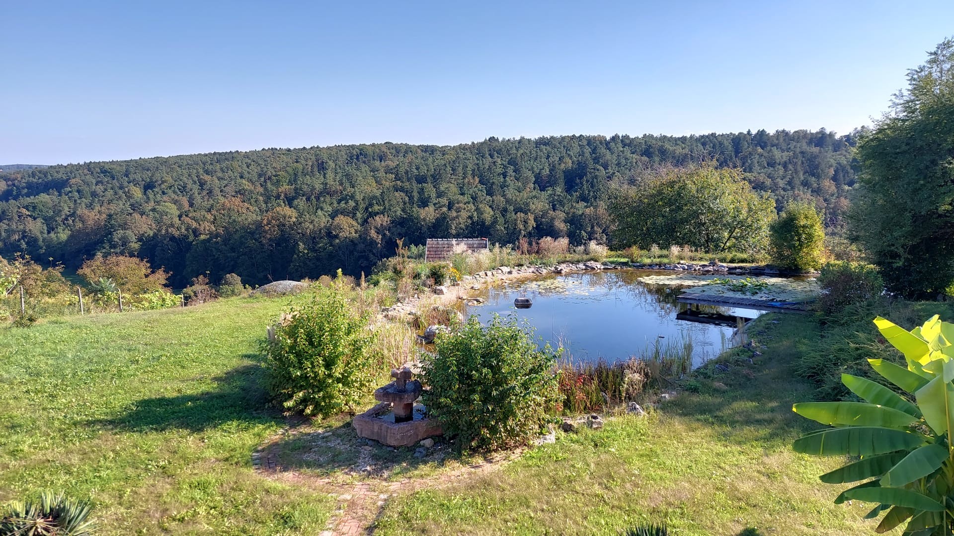 Herrlicher Blick auf den Teich