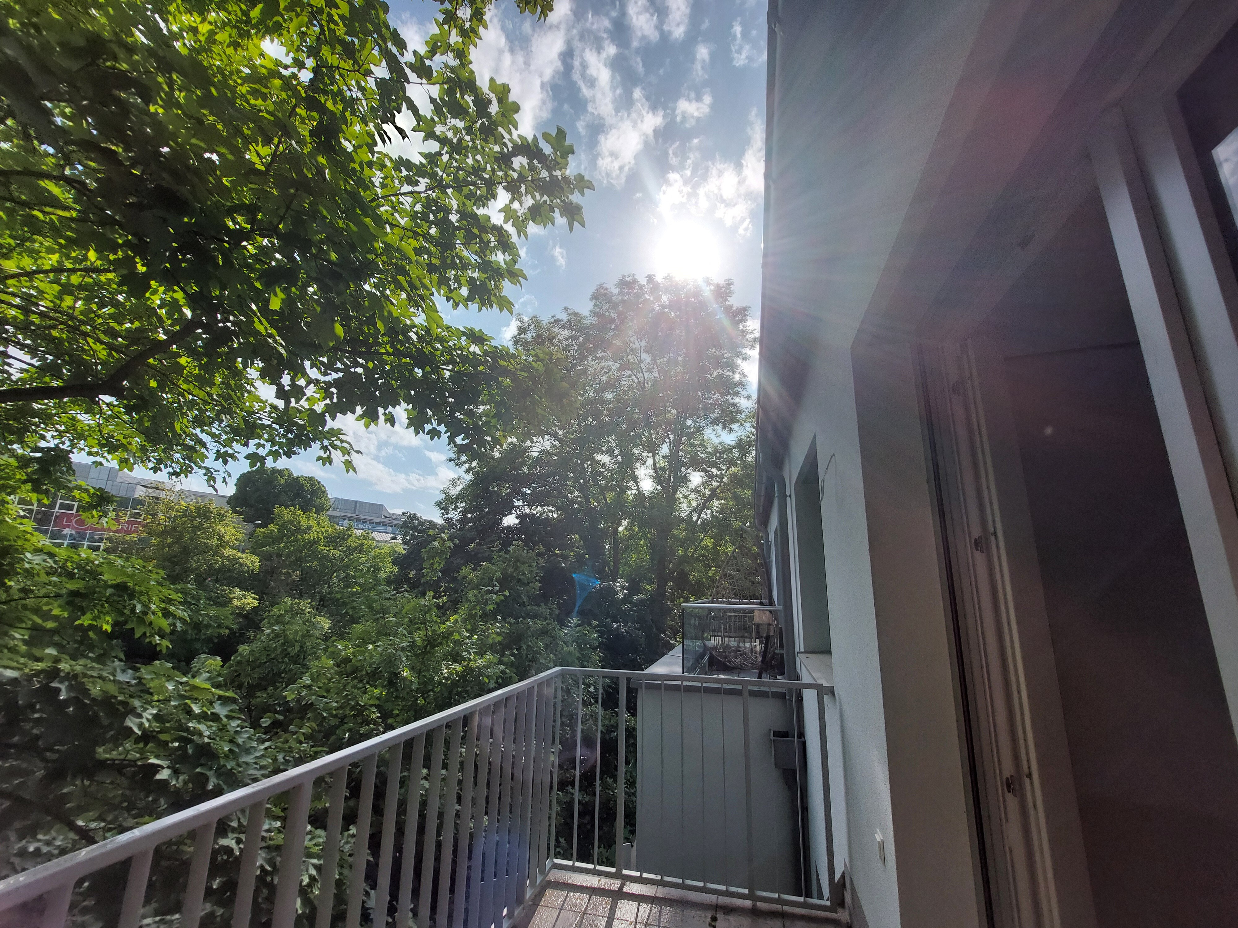 Maximilian Westausblick