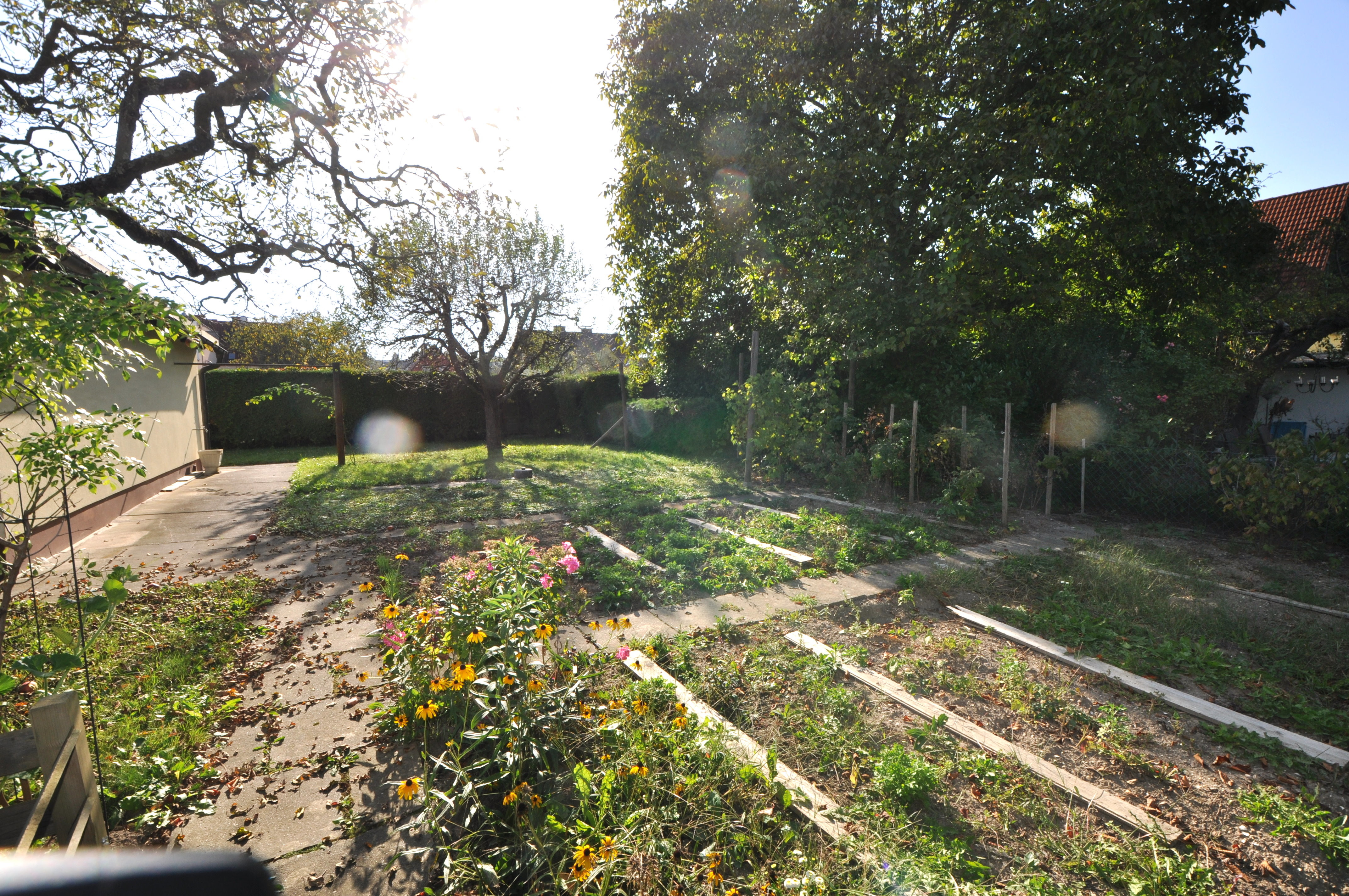 Garten mit vilen Gartenbeeten