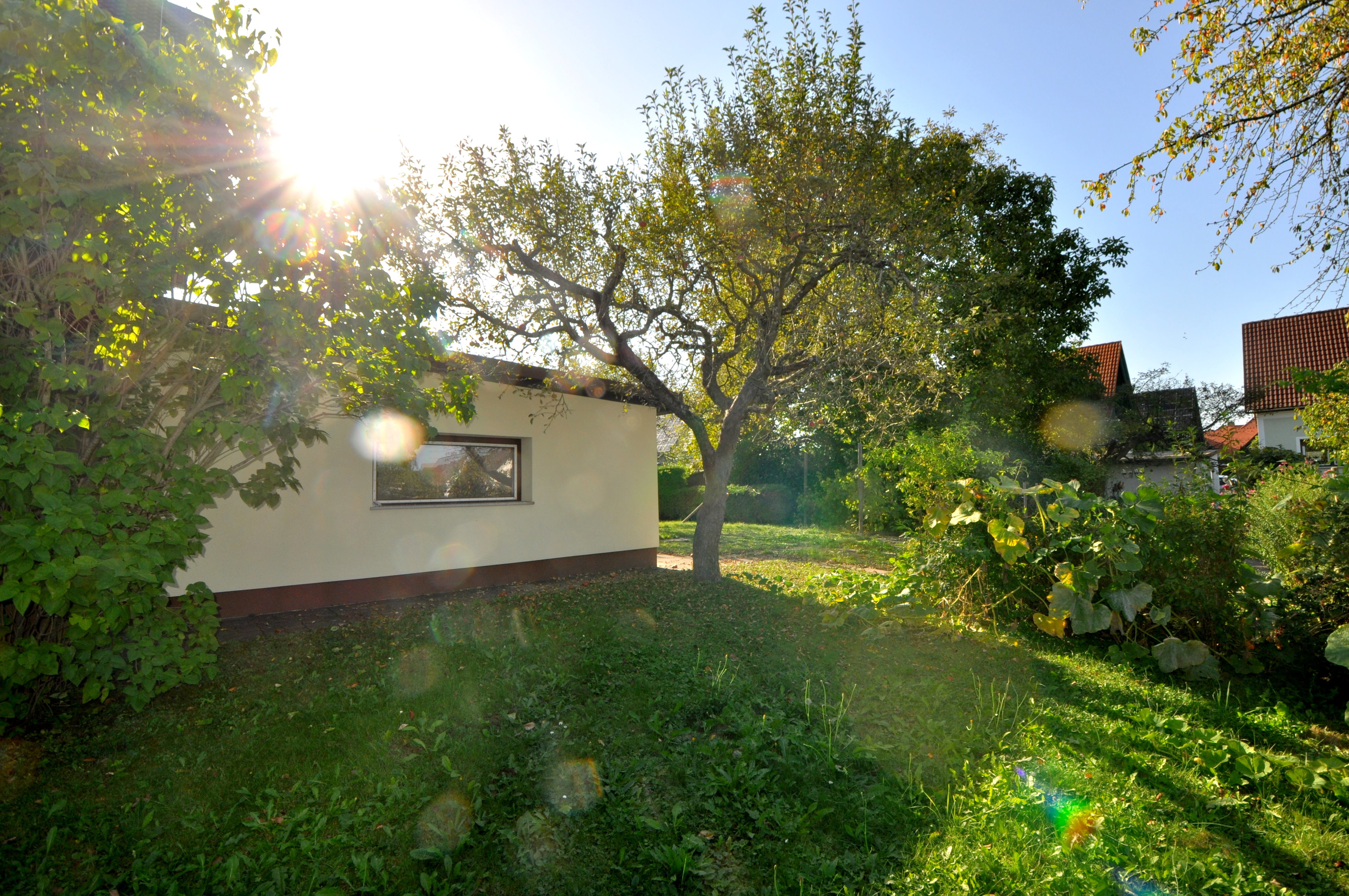 Blick auf Lagerraum und Garten