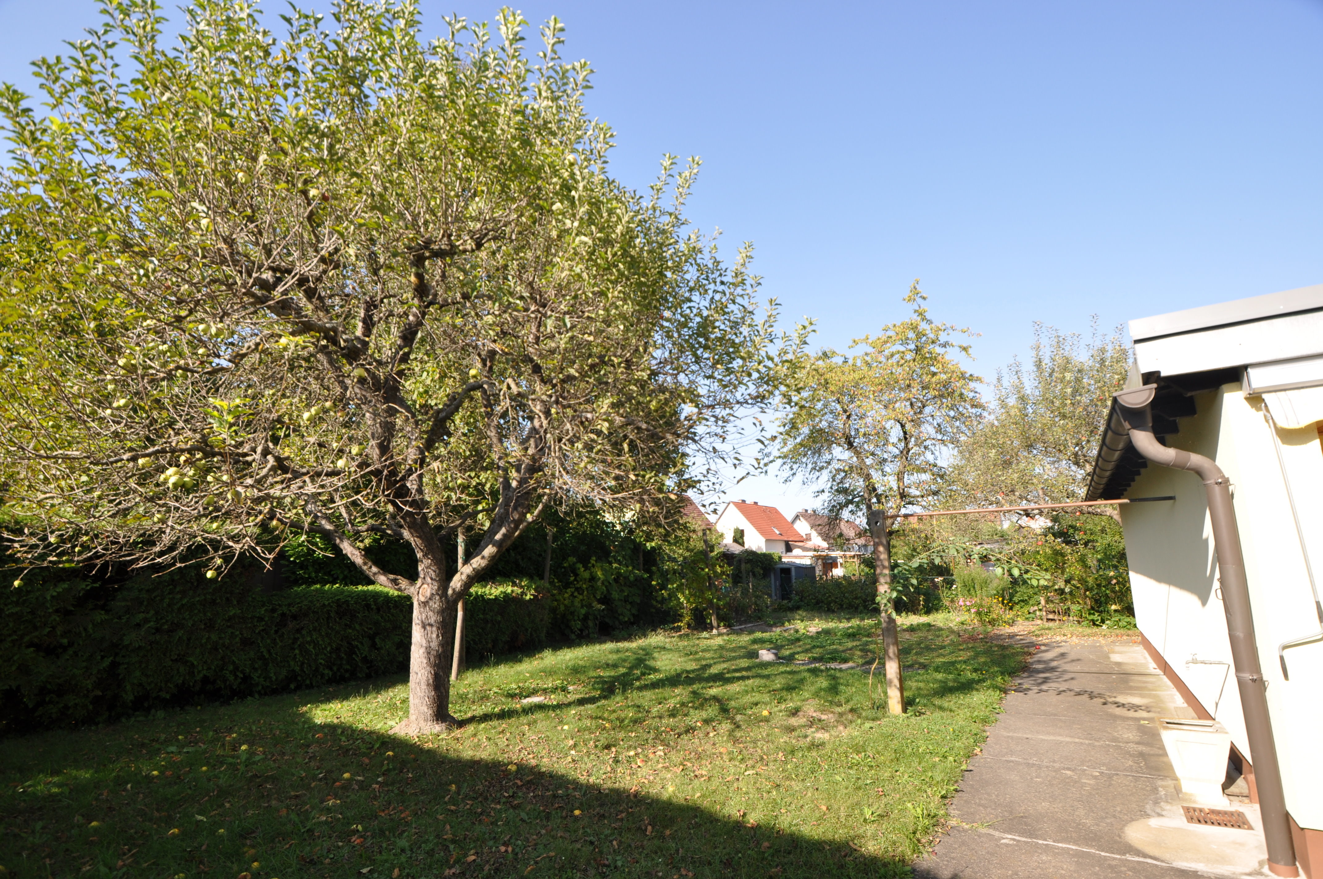 Garten seitlich vom Lagerraum