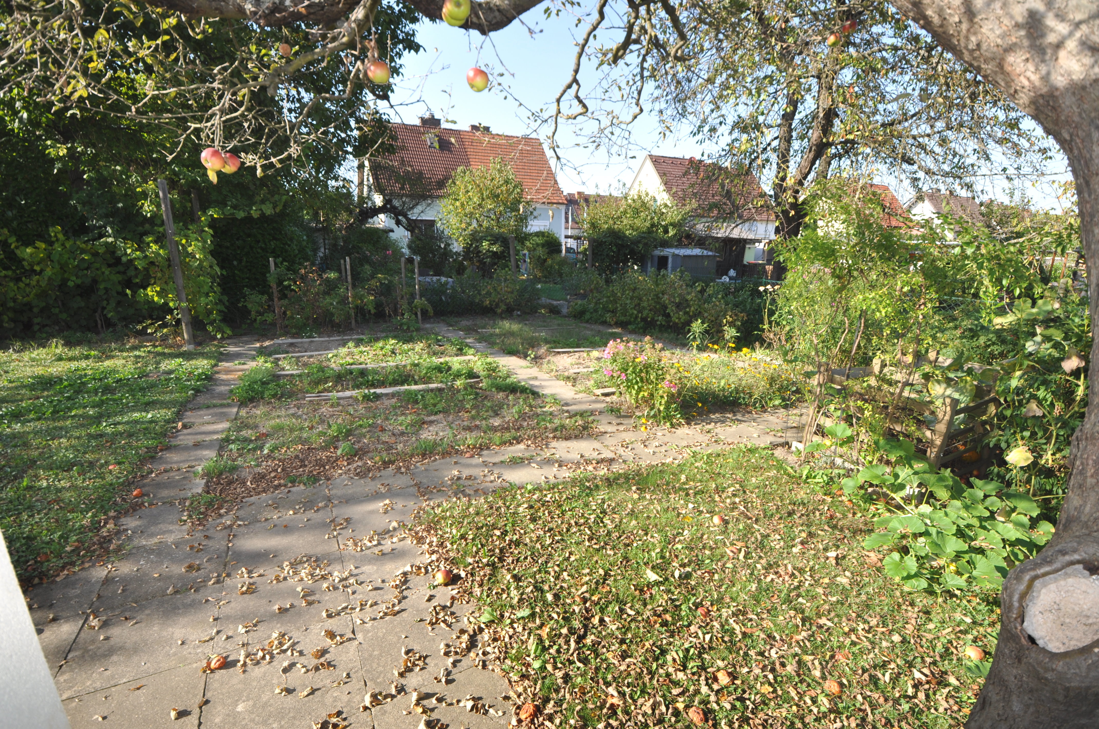 Garten mit Blick auf die Gartenbeete