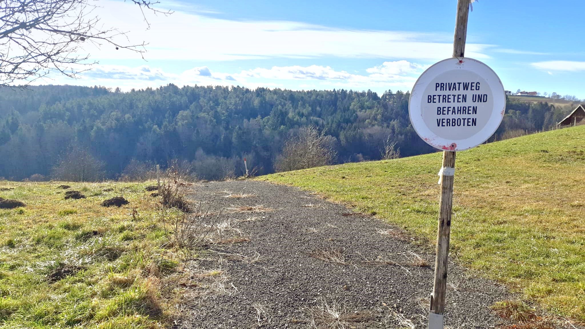 Zufahrtsweg zum Wildgatter