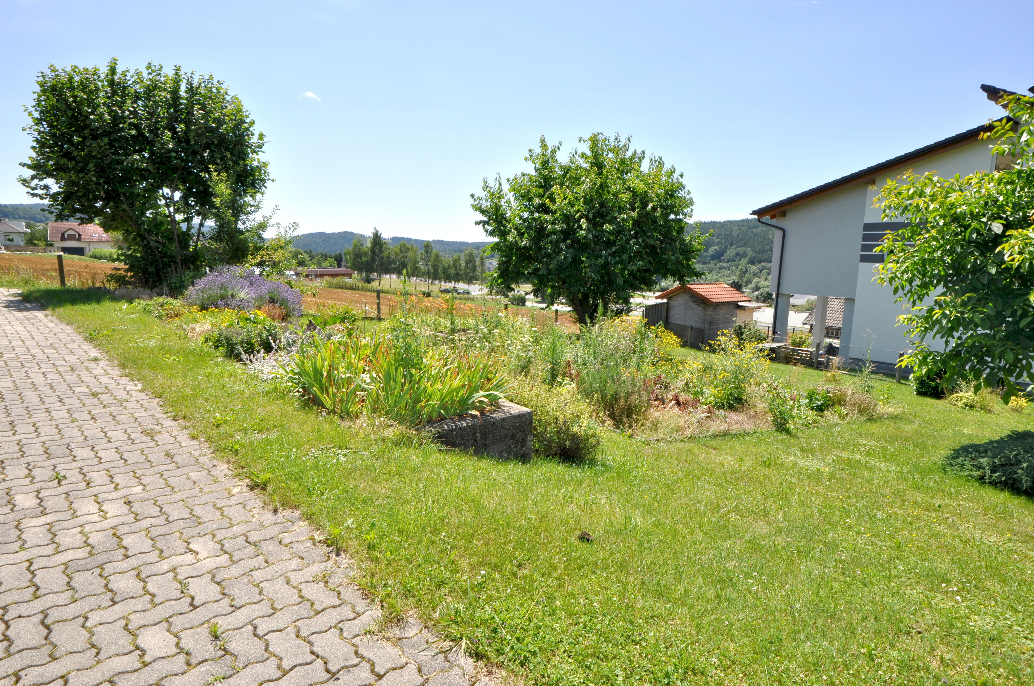 Der Garten vor dem Haus