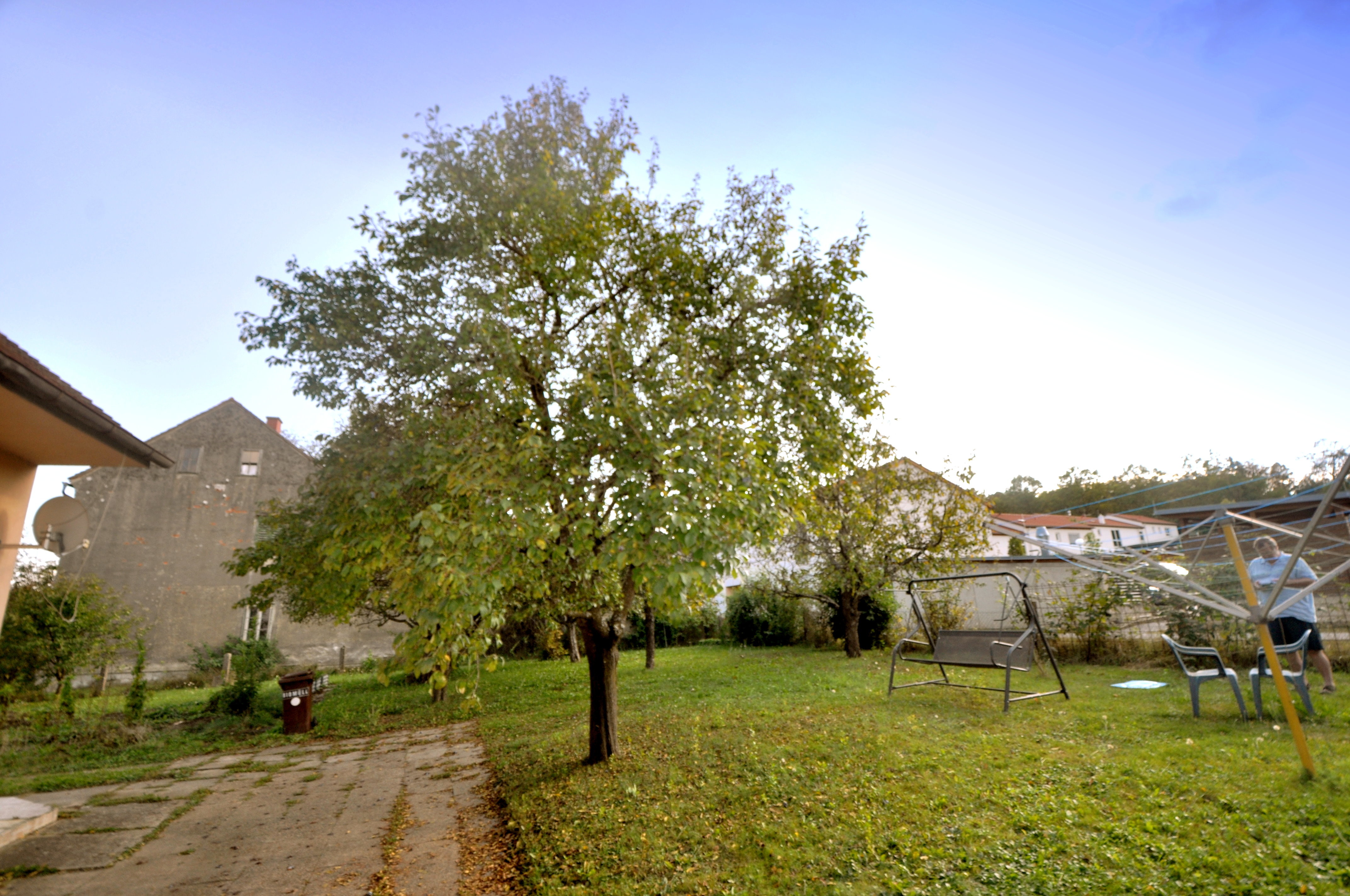 Garten mit Obstbaum