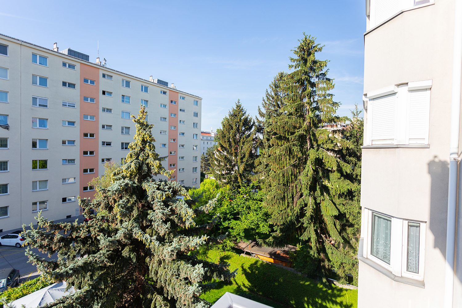 Blick in den Gemeinschaftsgarten