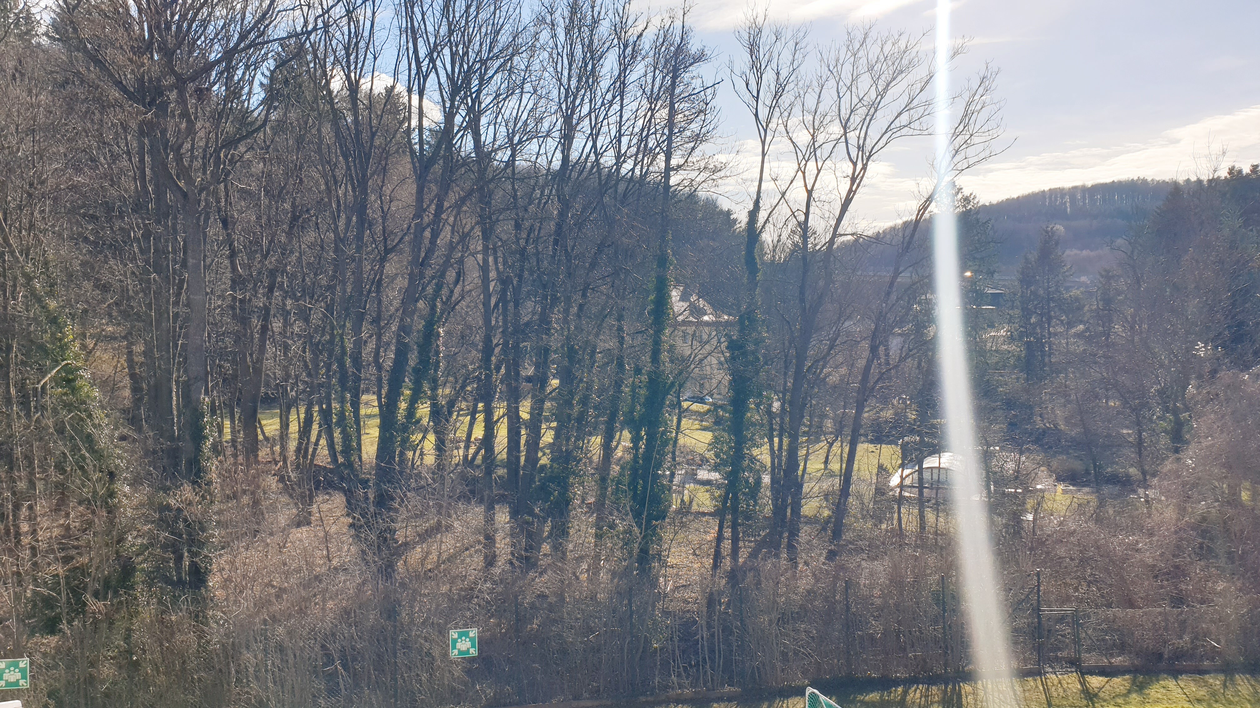 Ausblick Wald