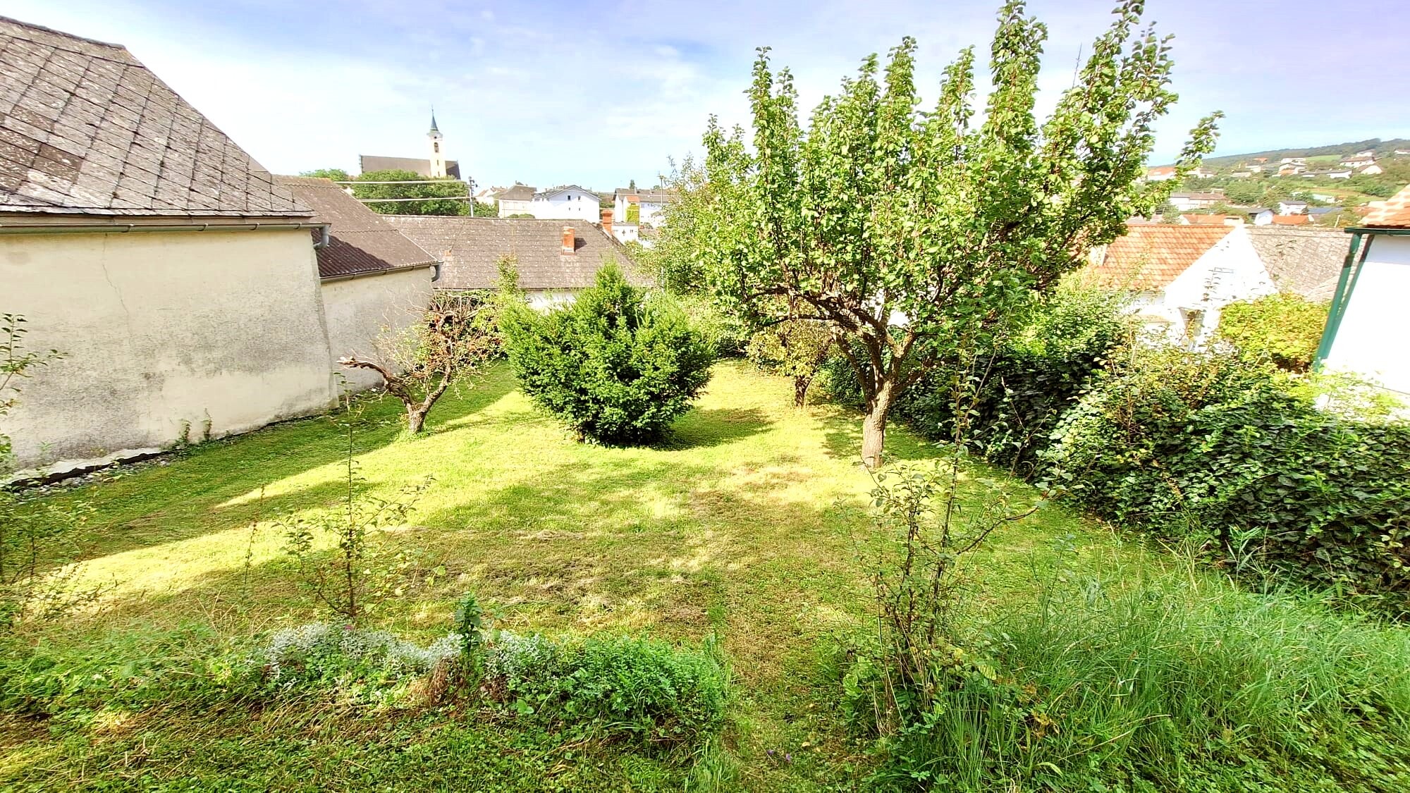 Blick in den Garten