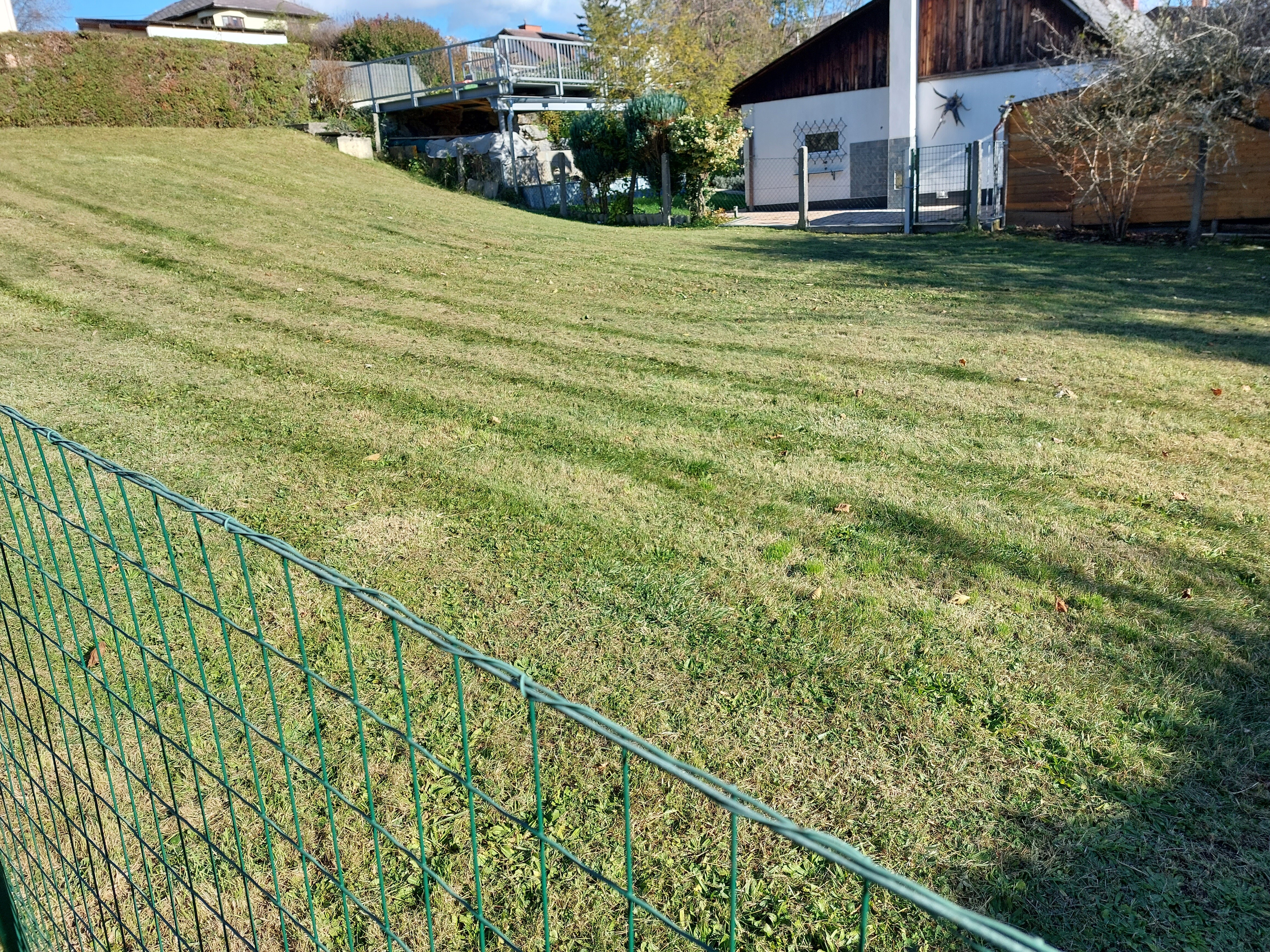 20231115_123106