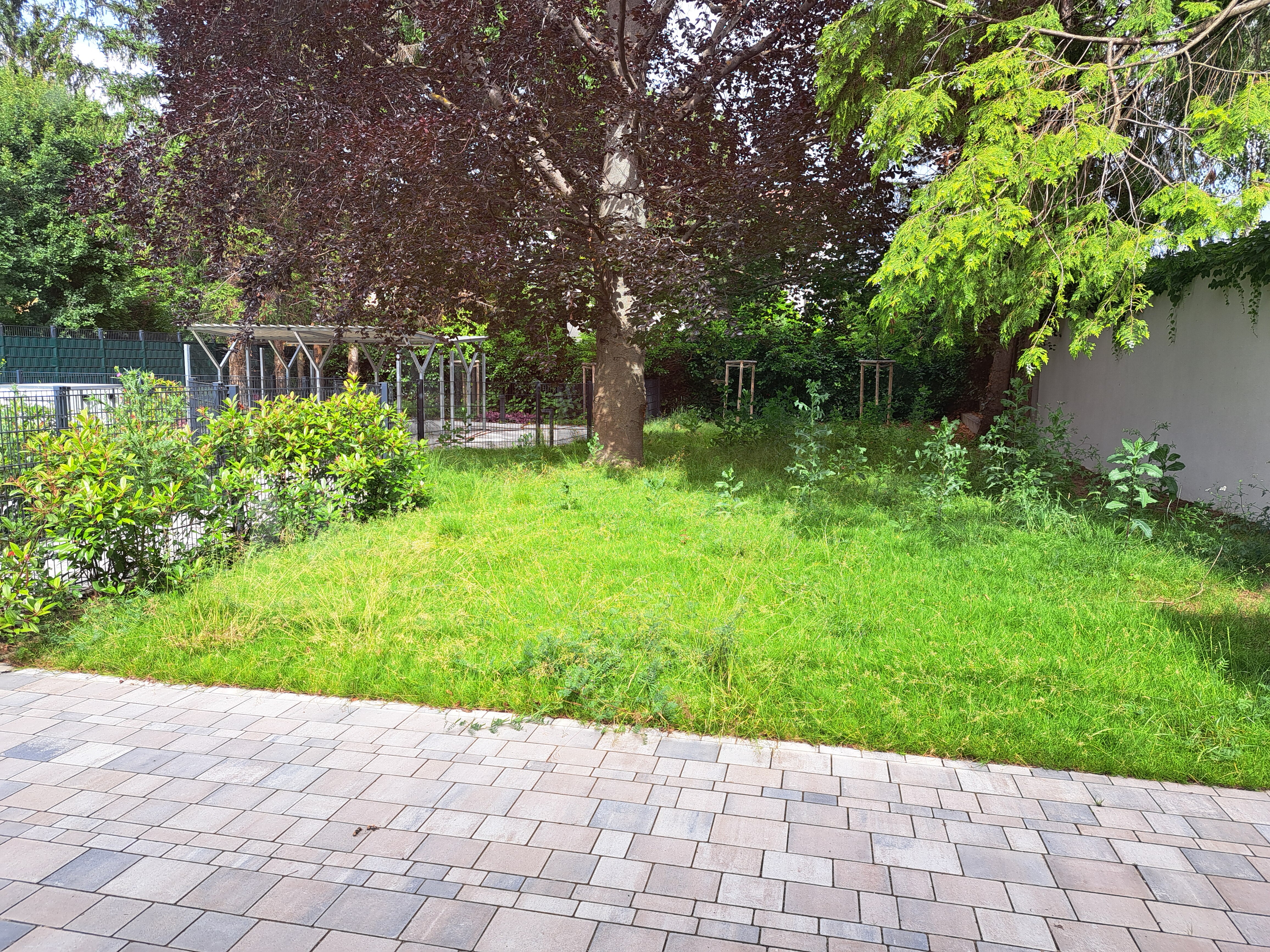 Haus 6 Terrasse und Garten