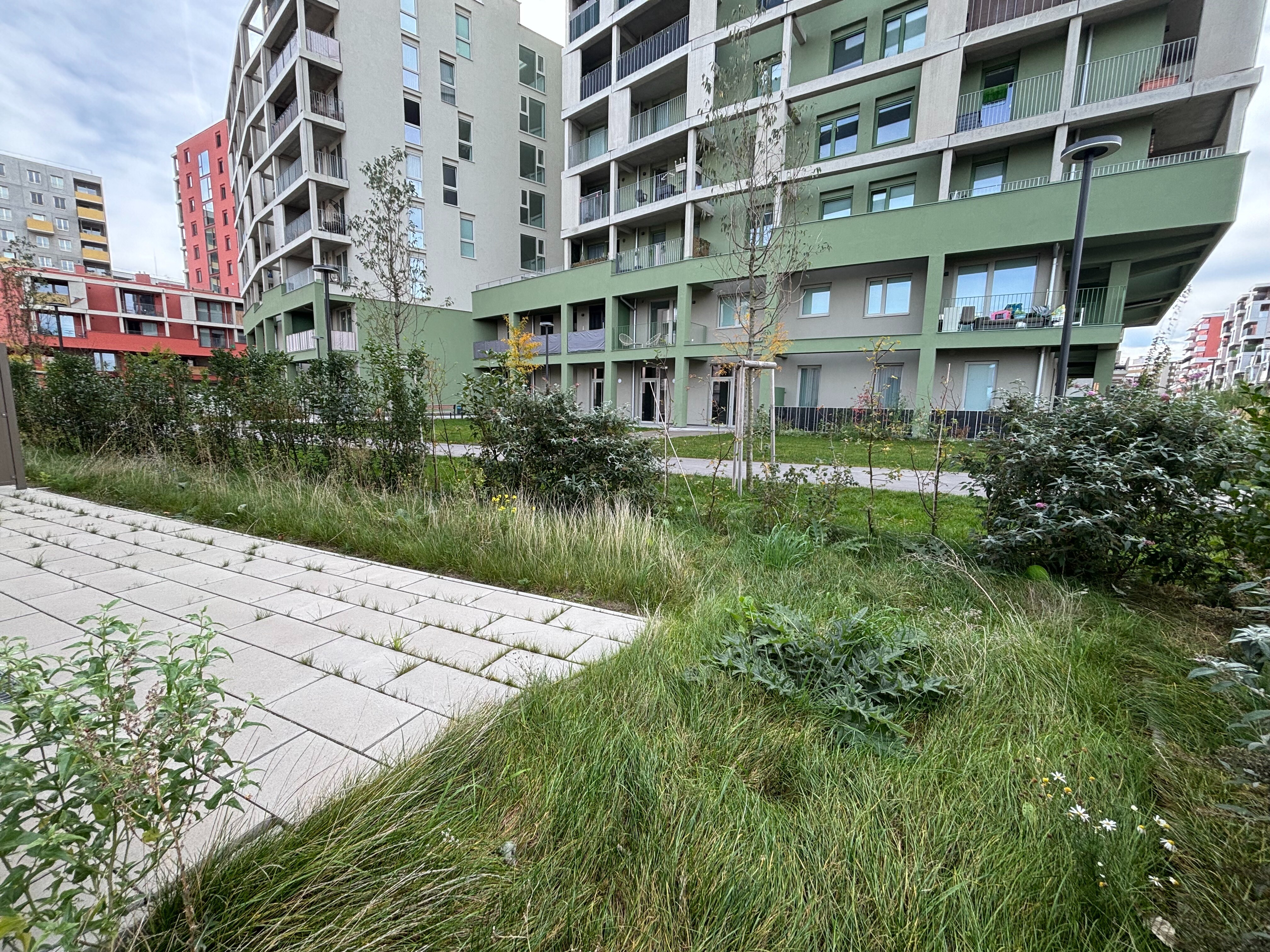 68EC7453-207B-4BAF-A6EA-B8455B9C987D