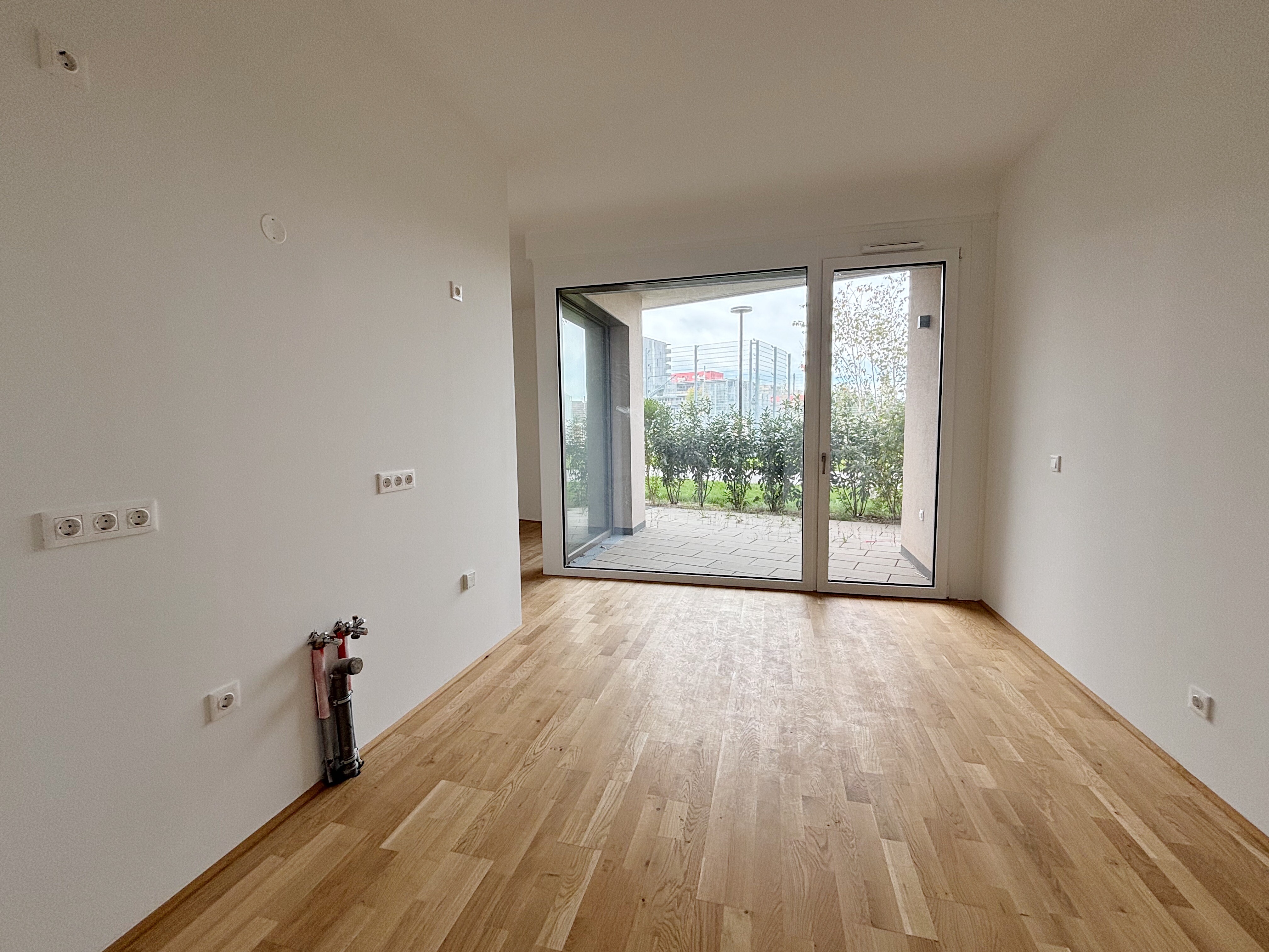 65012359-F338-4FEF-85E1-D83803079646