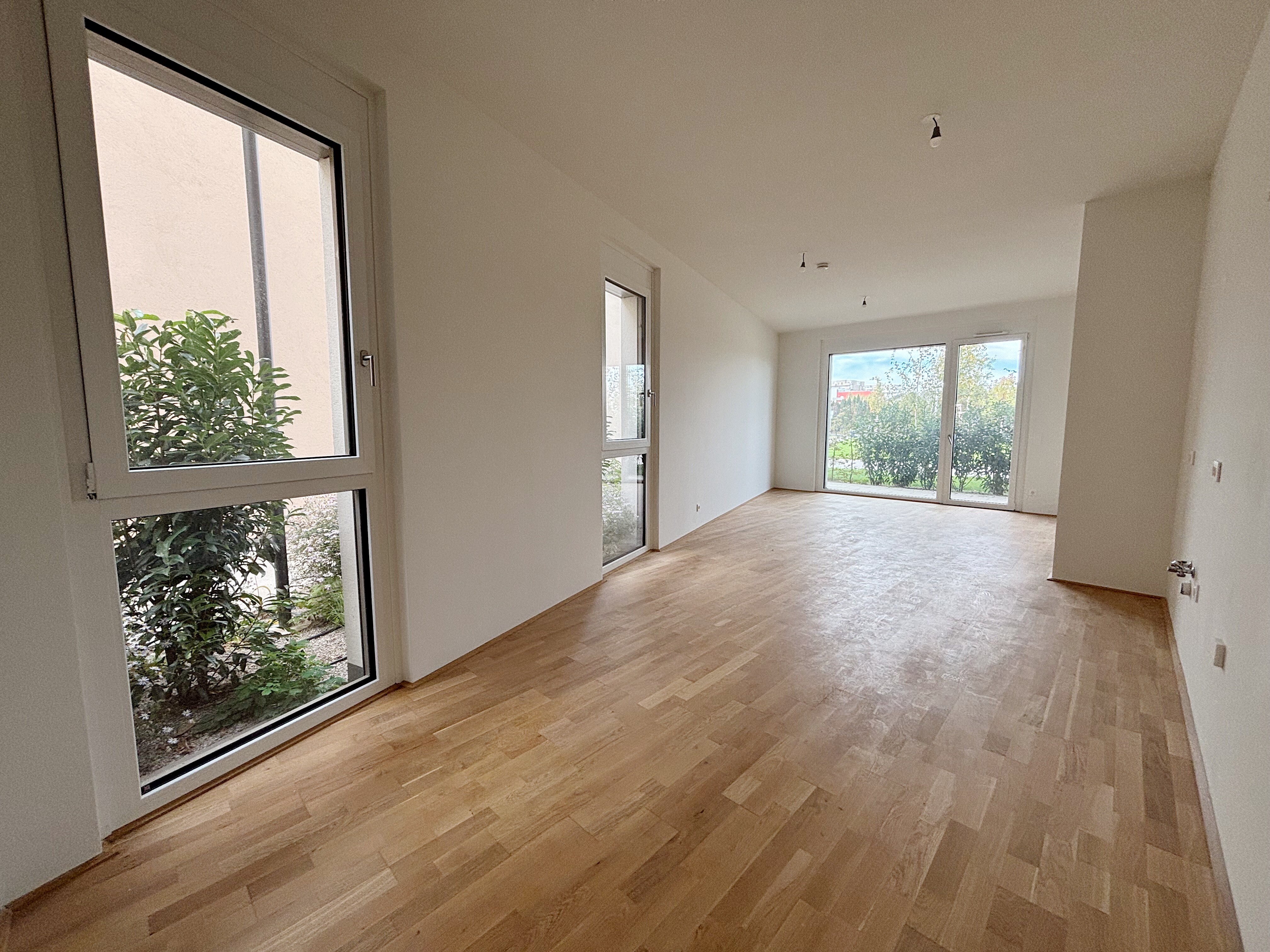 772A81BA-4EFB-4670-A788-384033DCF434