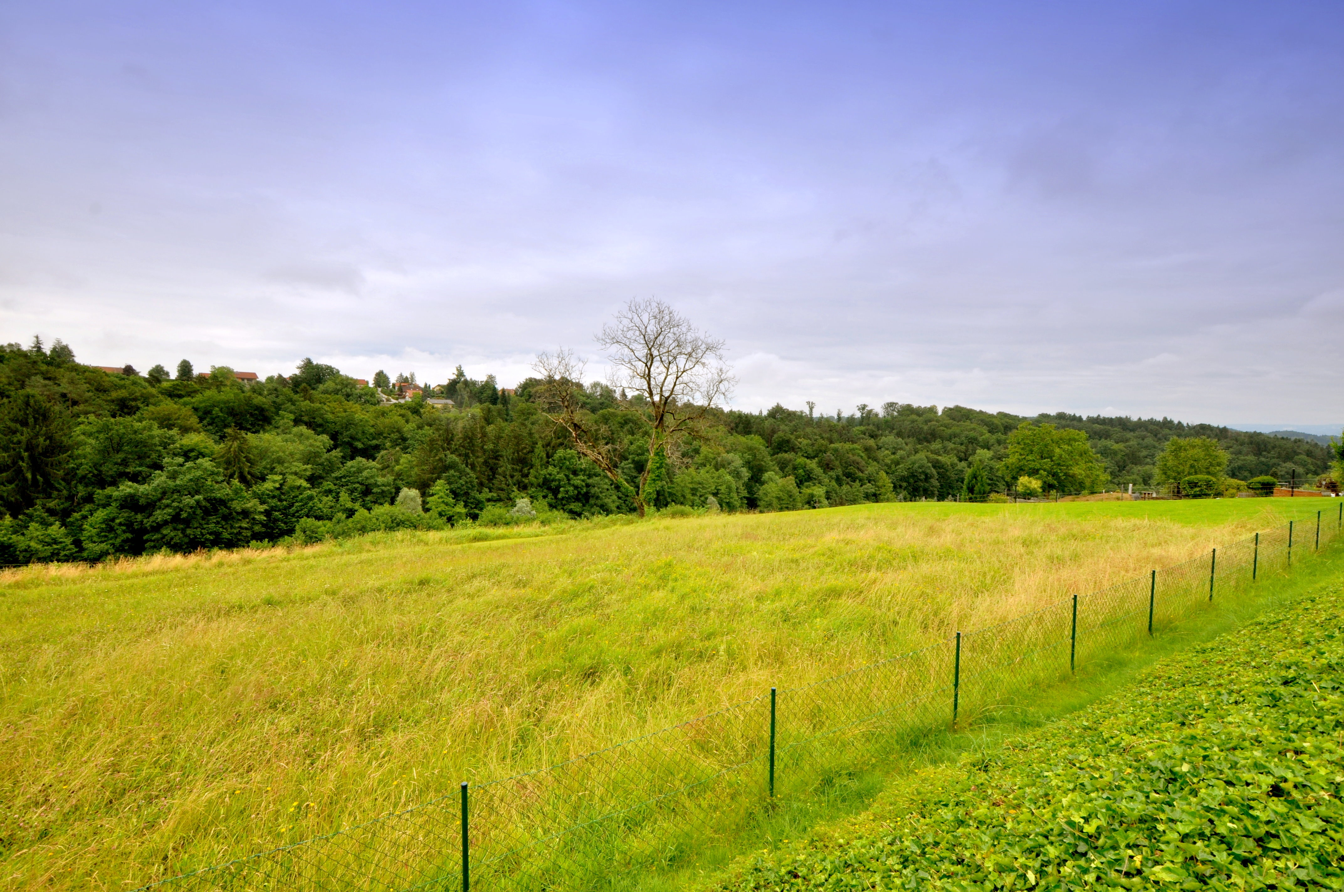 Angrenzende Wiese vor dem Garten