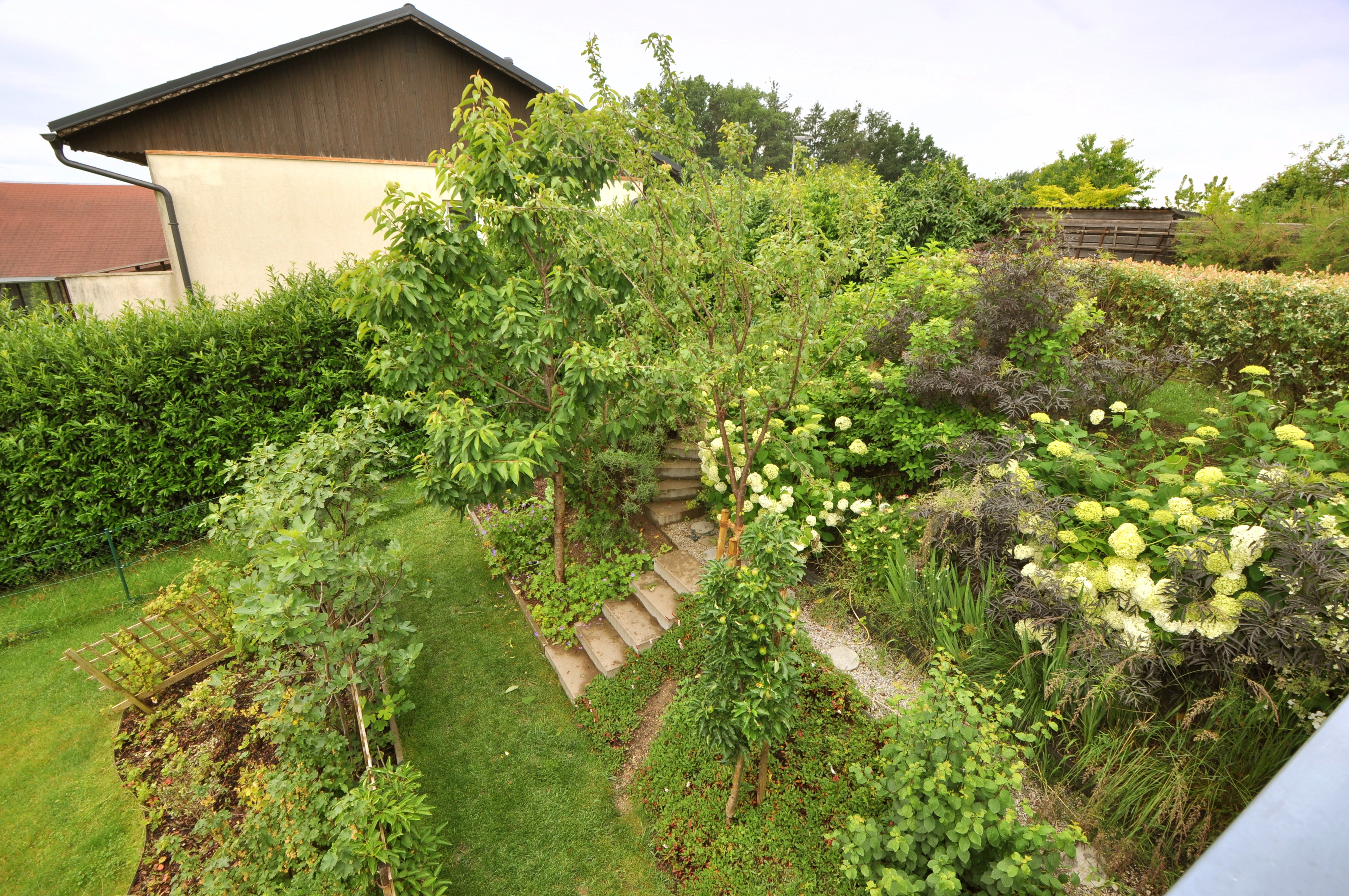 Garten vor der Terrasse