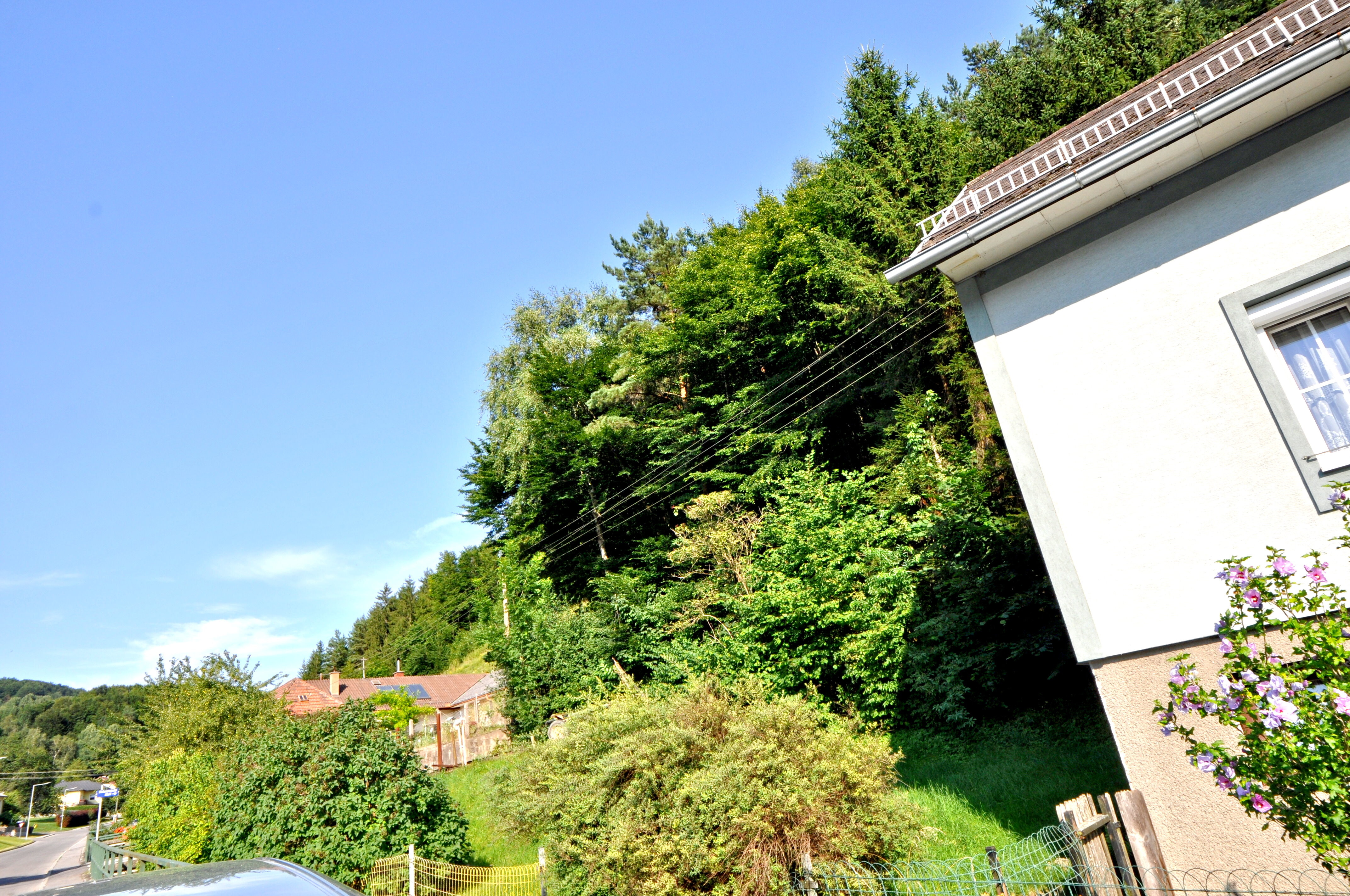 Wiese links vom Haus