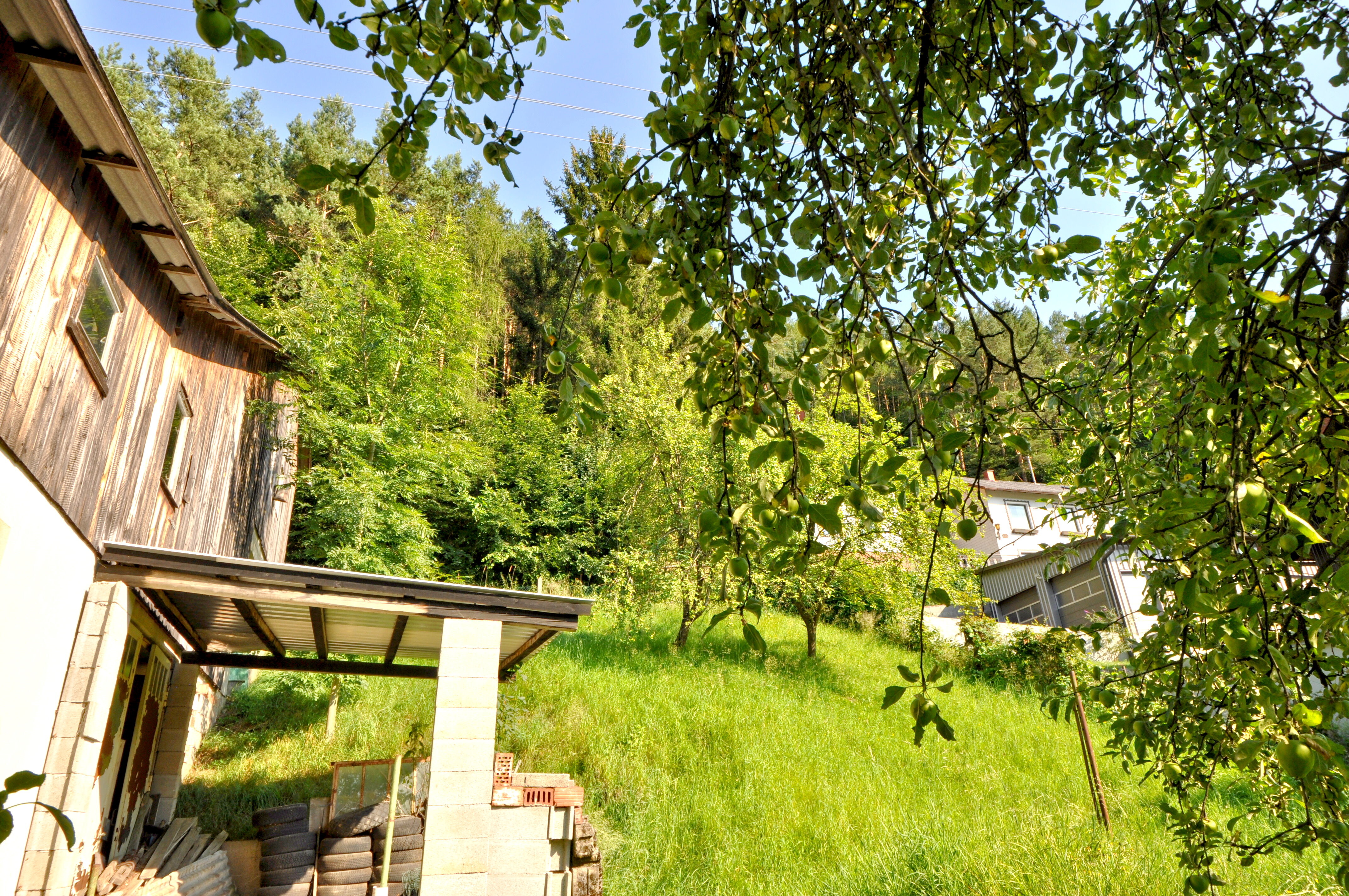 Wiese oberhalb des Nebengebäudes