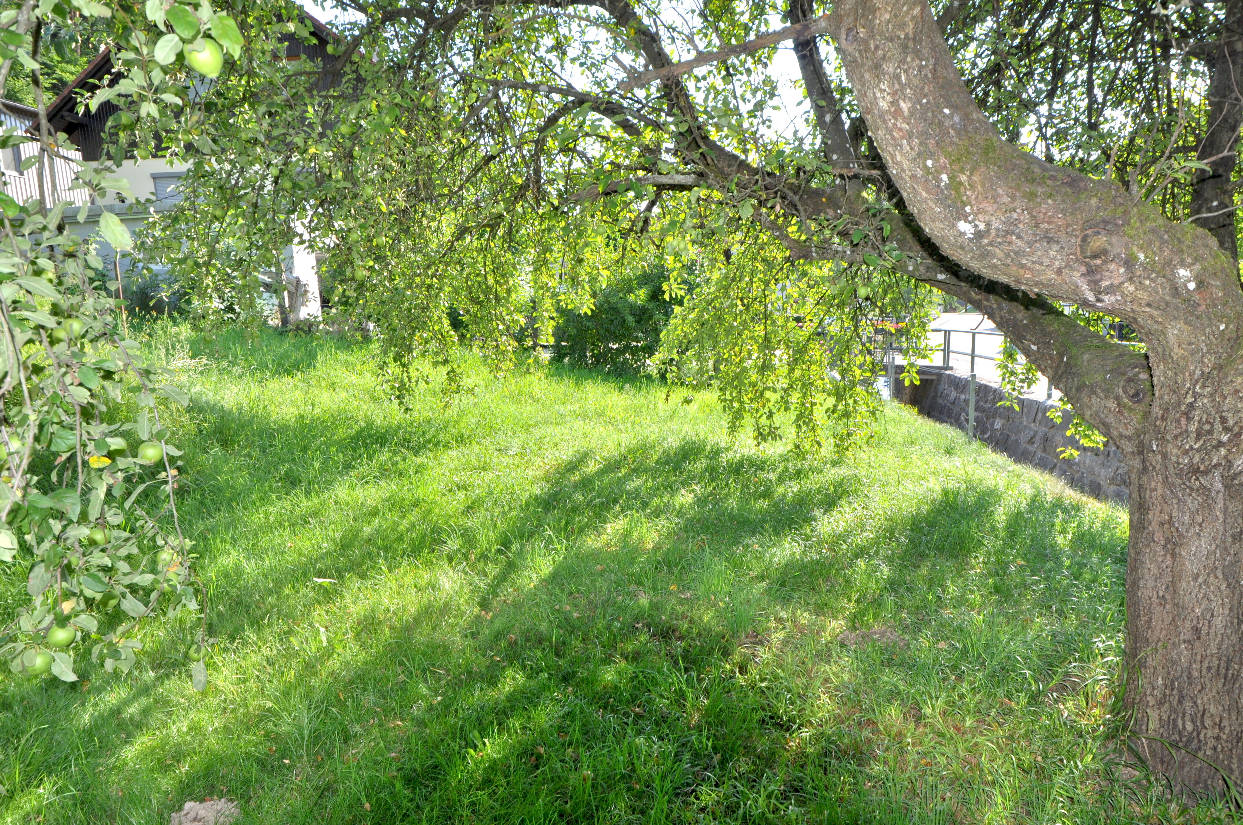 Garten rechts vom Nebegebäude