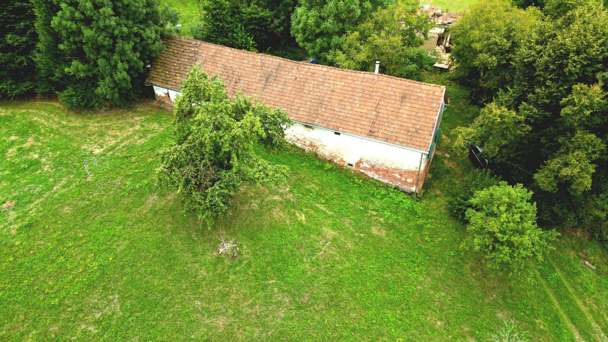 Blick auf das sanierungsfähige Gebäude mit Wiese davor