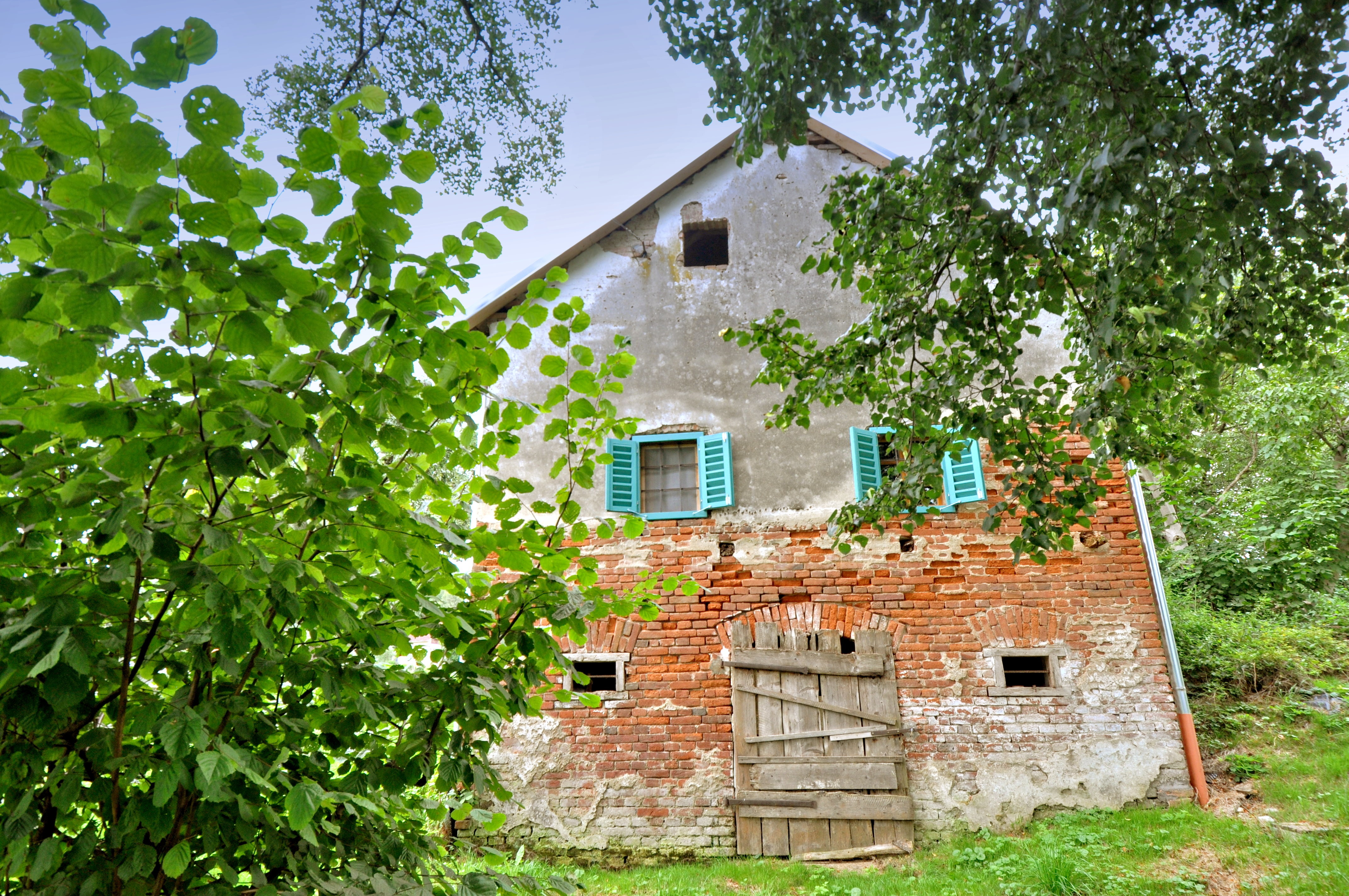 Blick auf Eingang des Erdkellers und Fenster des Wohn- Schlafzimmers