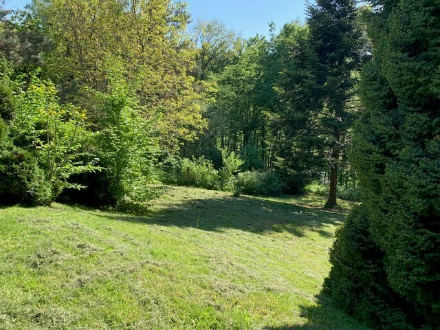 Ferienhaus2