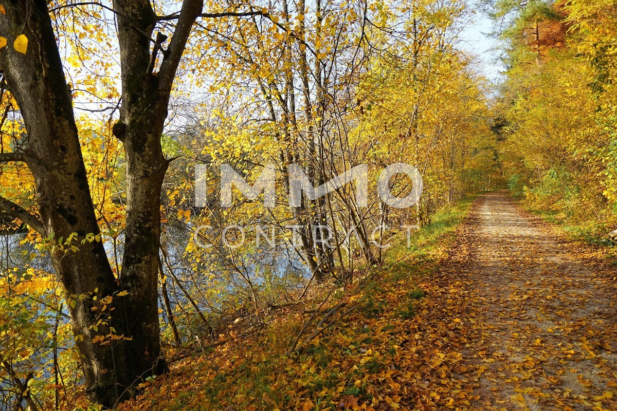 Herbststimmung Donau