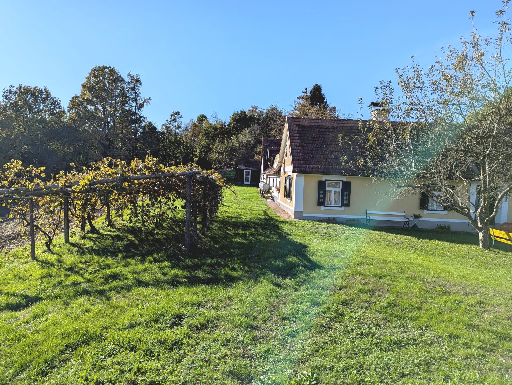 Blick auf Weinlaube und Hof