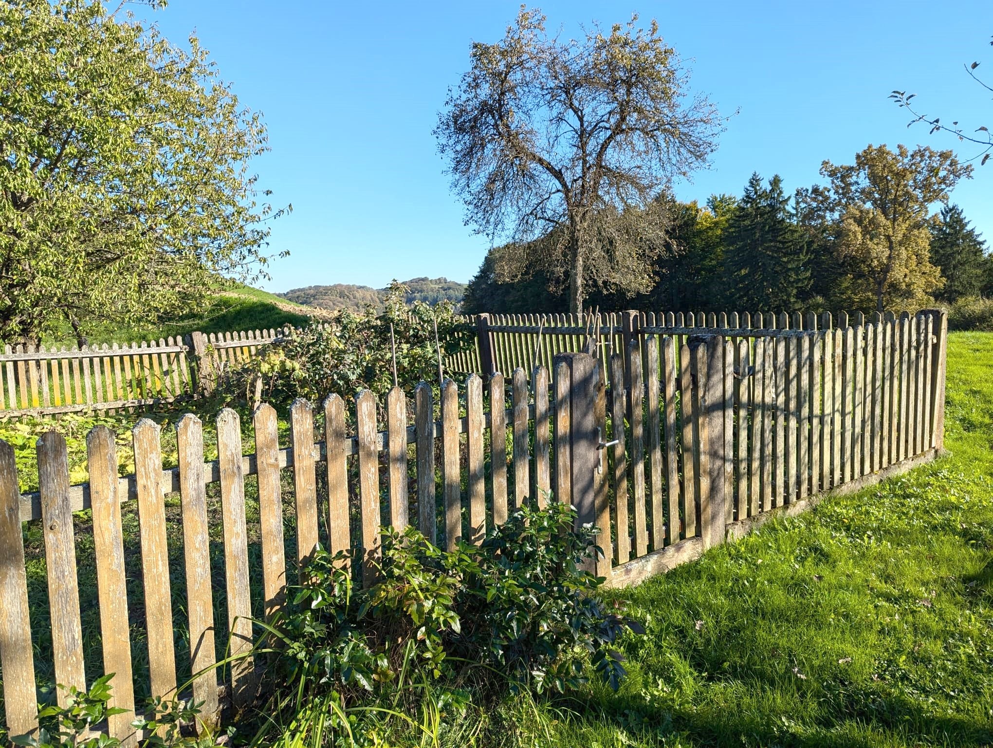 Blick auf den iengzäunten Hausgarten