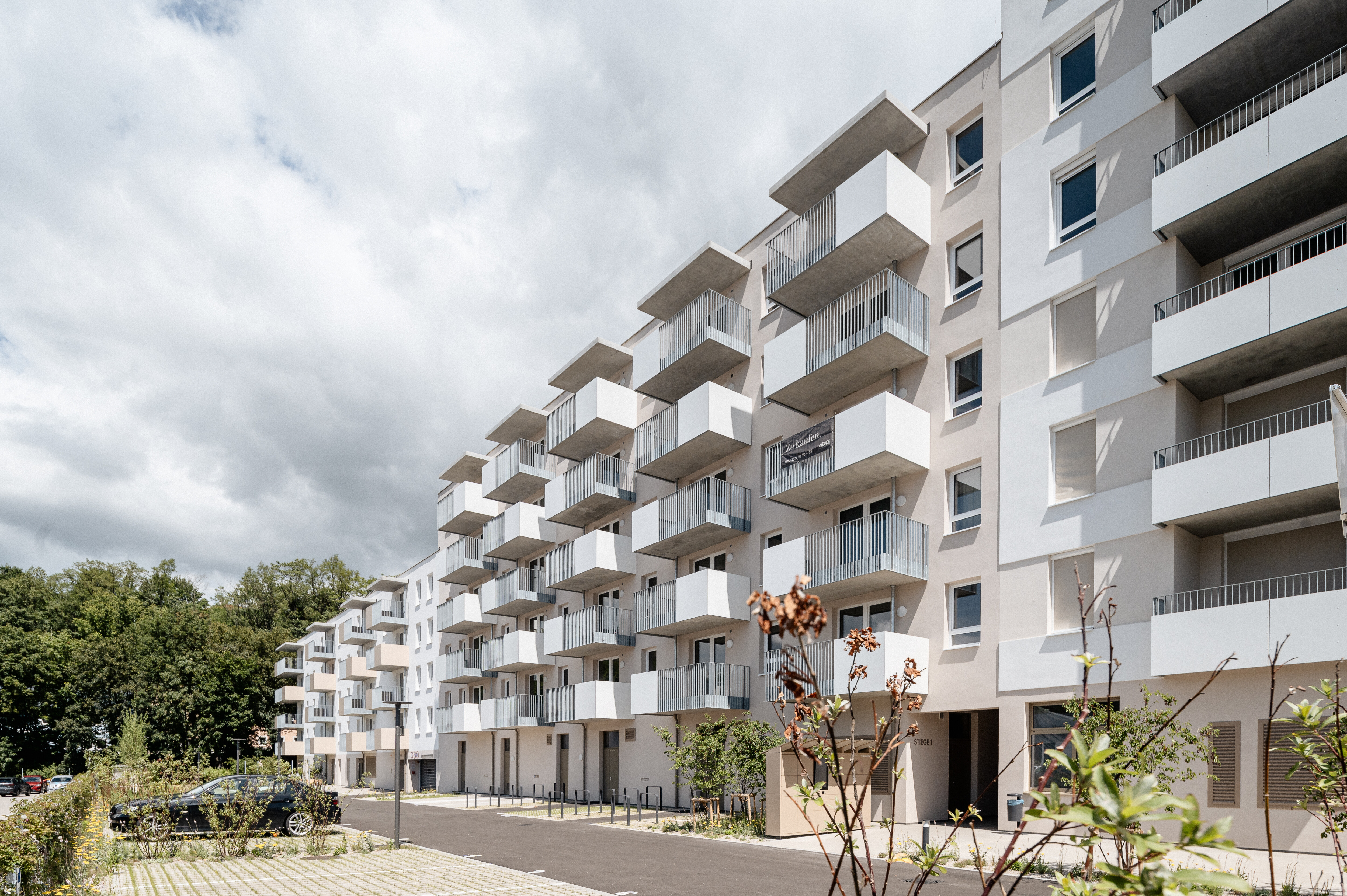 20240529-Steingötterhof Außenaufnahmen-©6B47-5