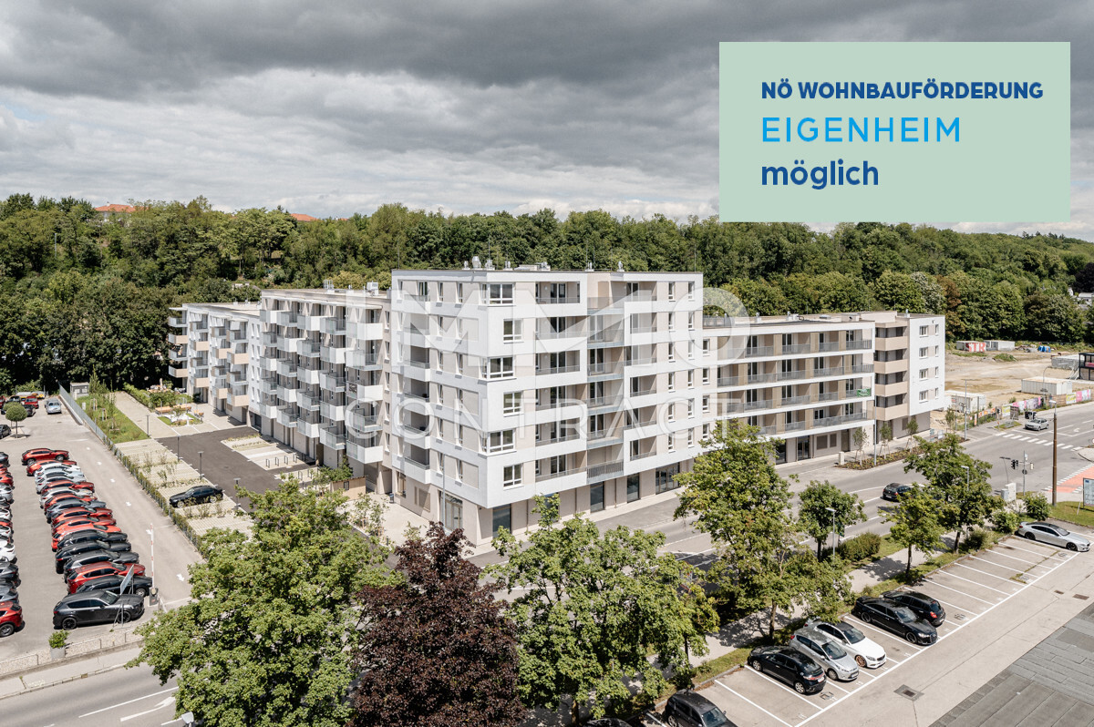20240529-Steingötterhof Außenaufnahmen-©6B47-4