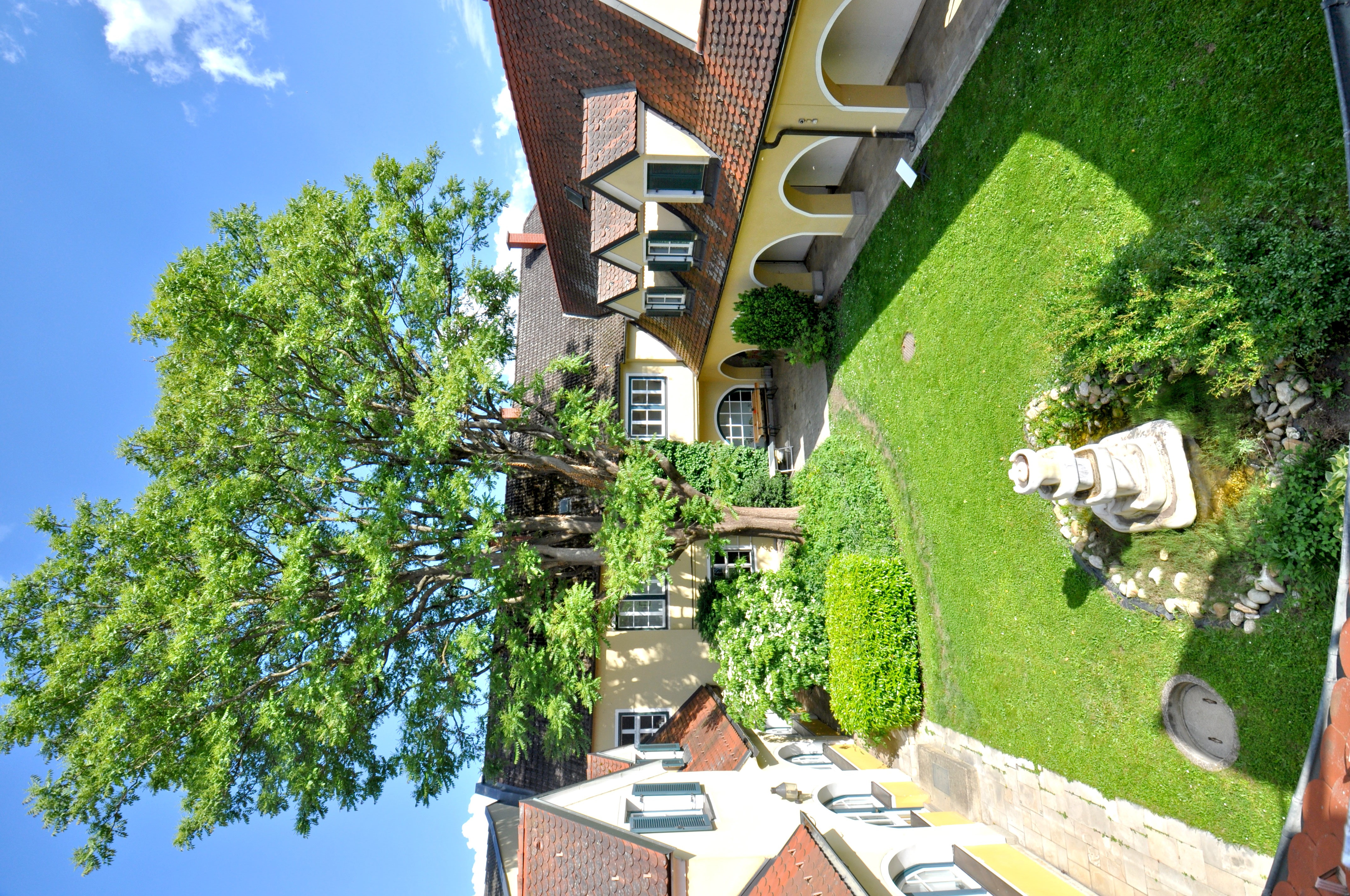 Blick in den Innehof vom Balkon mit ganzem Baum