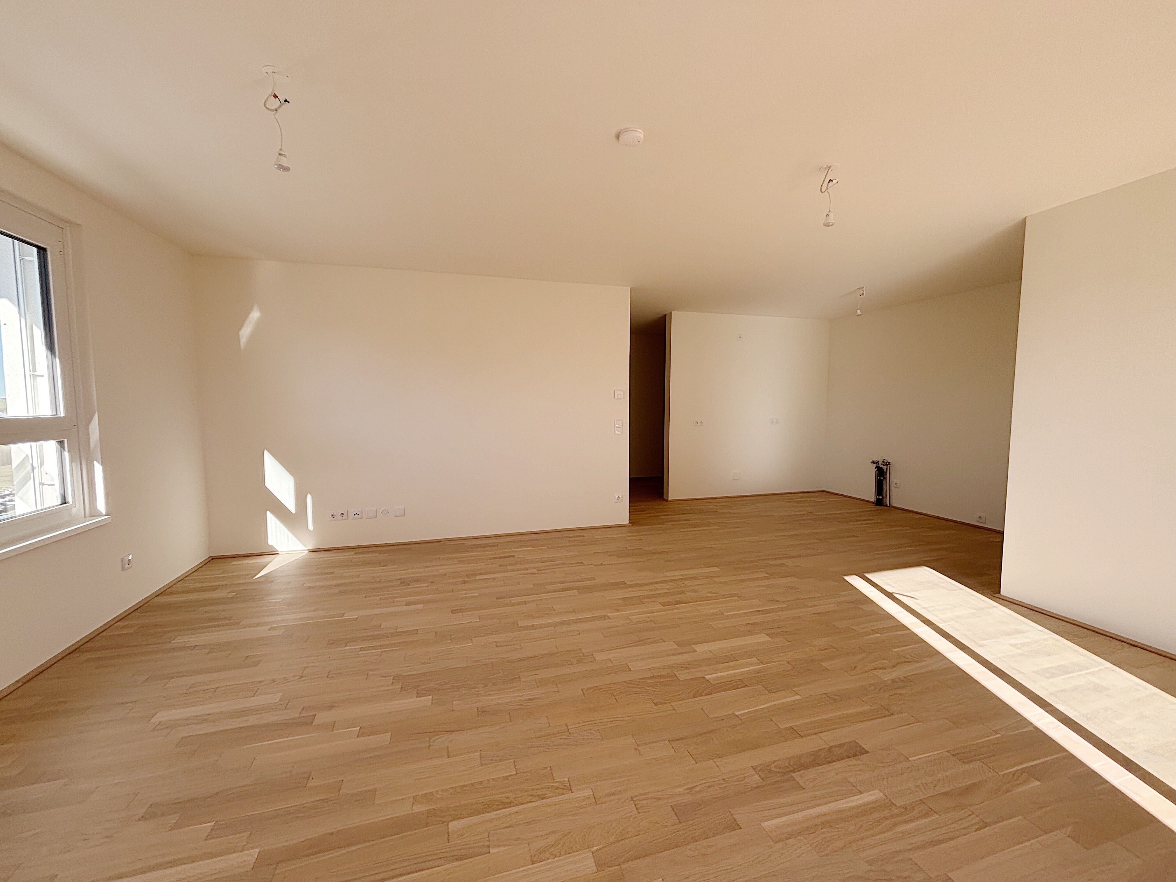 712B2288-940C-4734-AF6E-9E0C8CD5693D