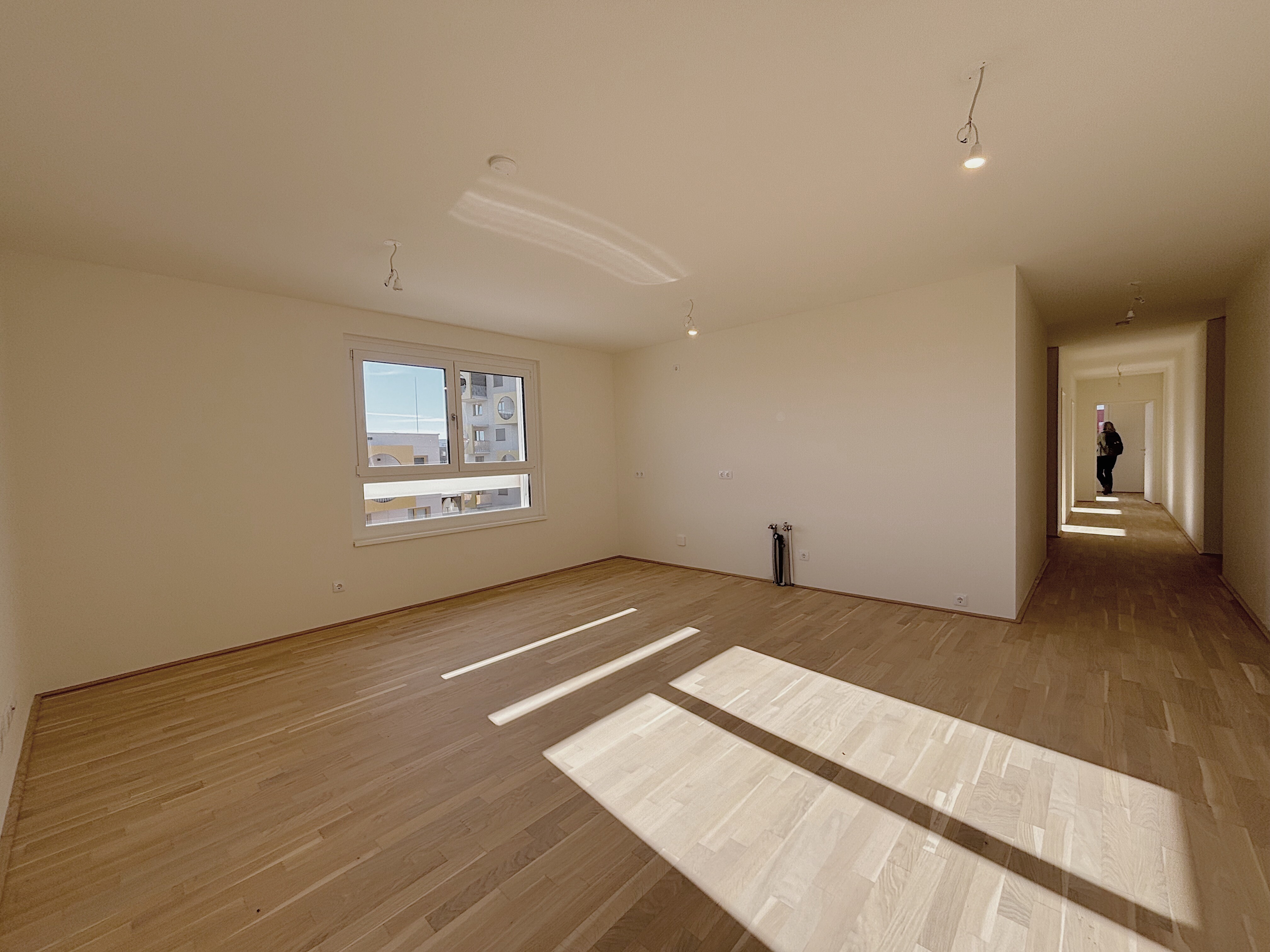 11B9906B-0D7B-439C-94ED-5B96E9E4E2F7