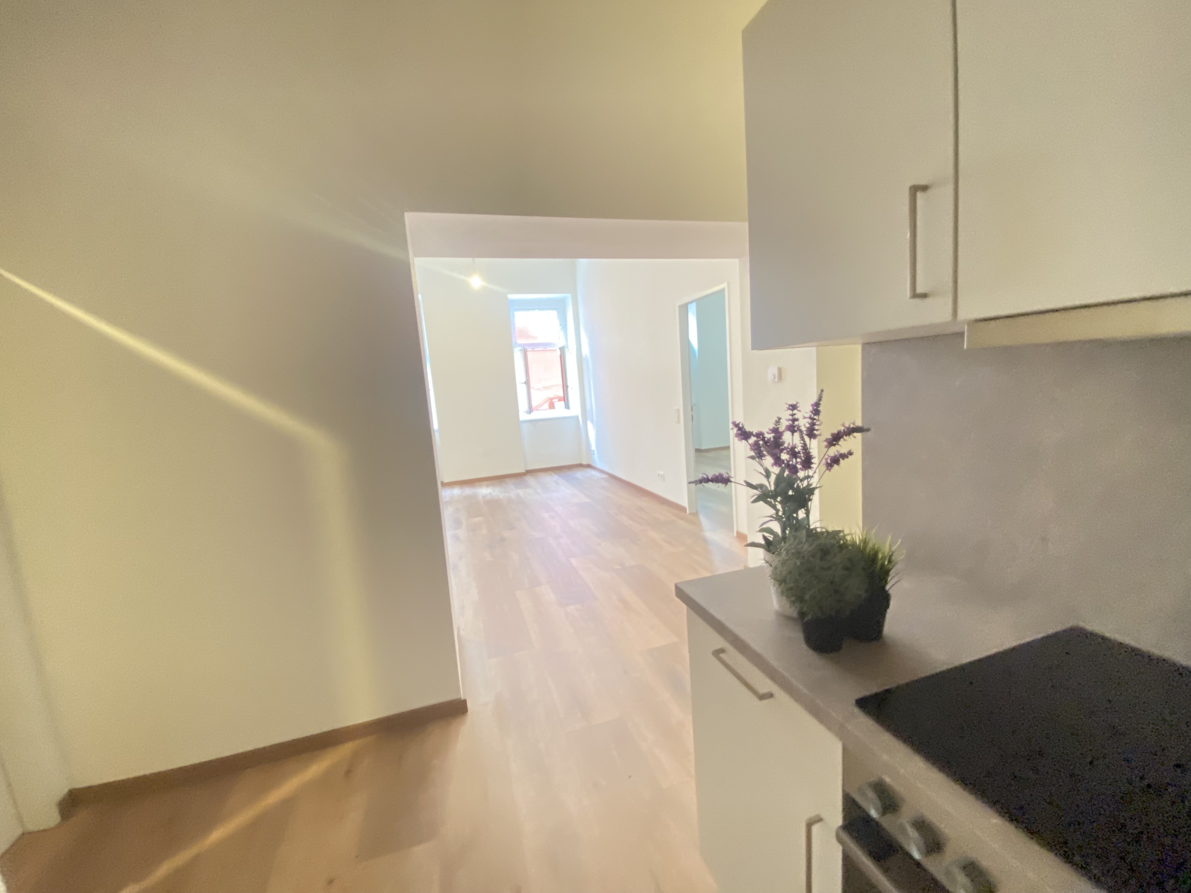 Blick ins Wohnzimmer