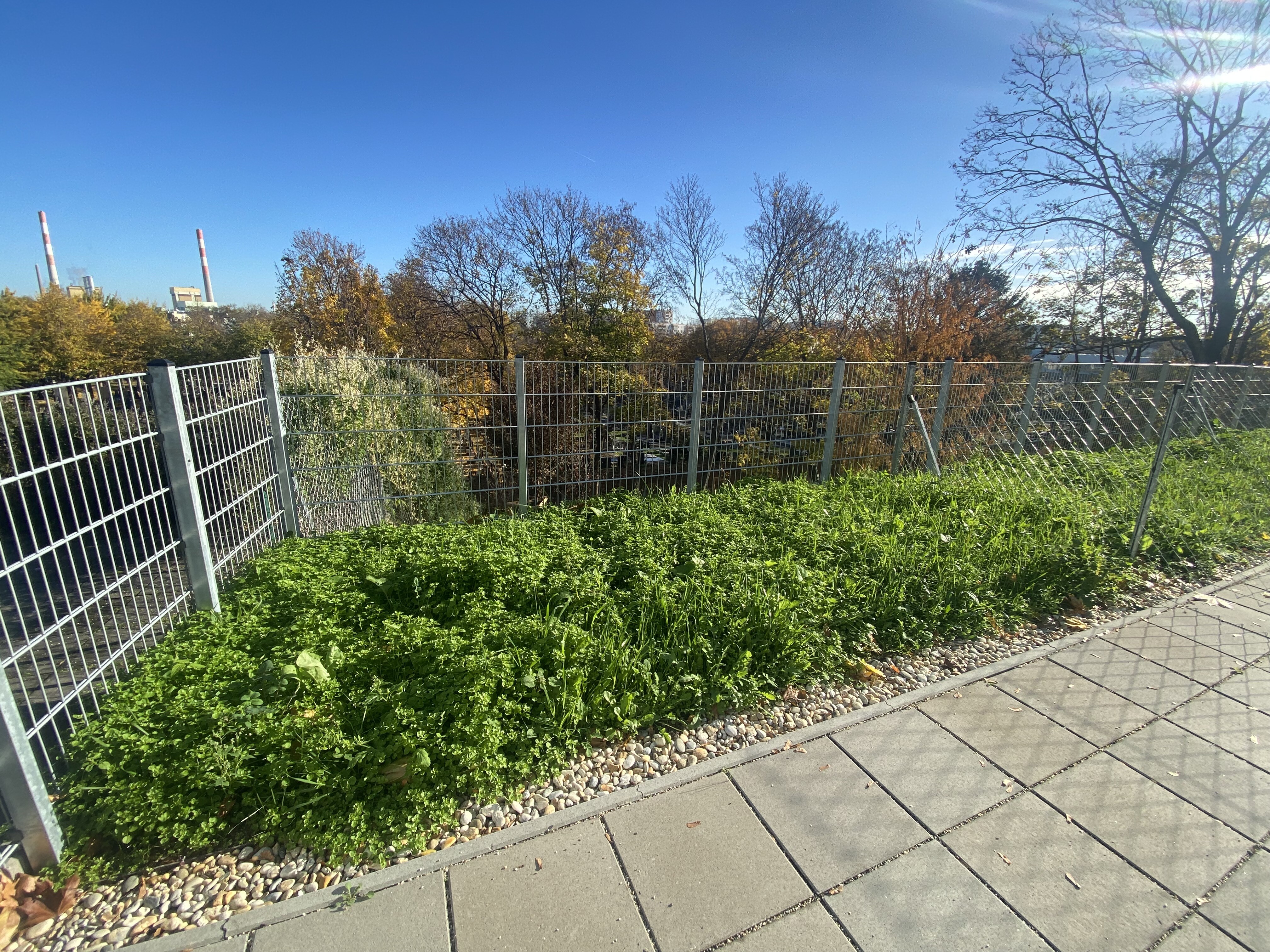 Eigengarten mit Weitblick