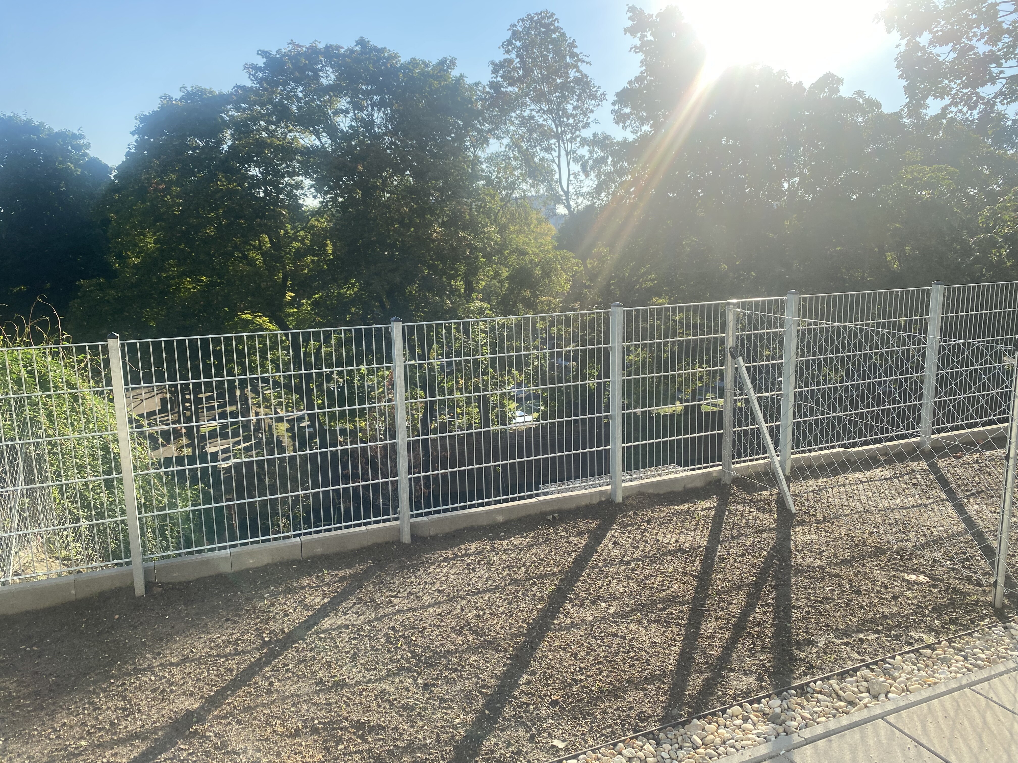 Blick in den Gemeinschaftsgarten