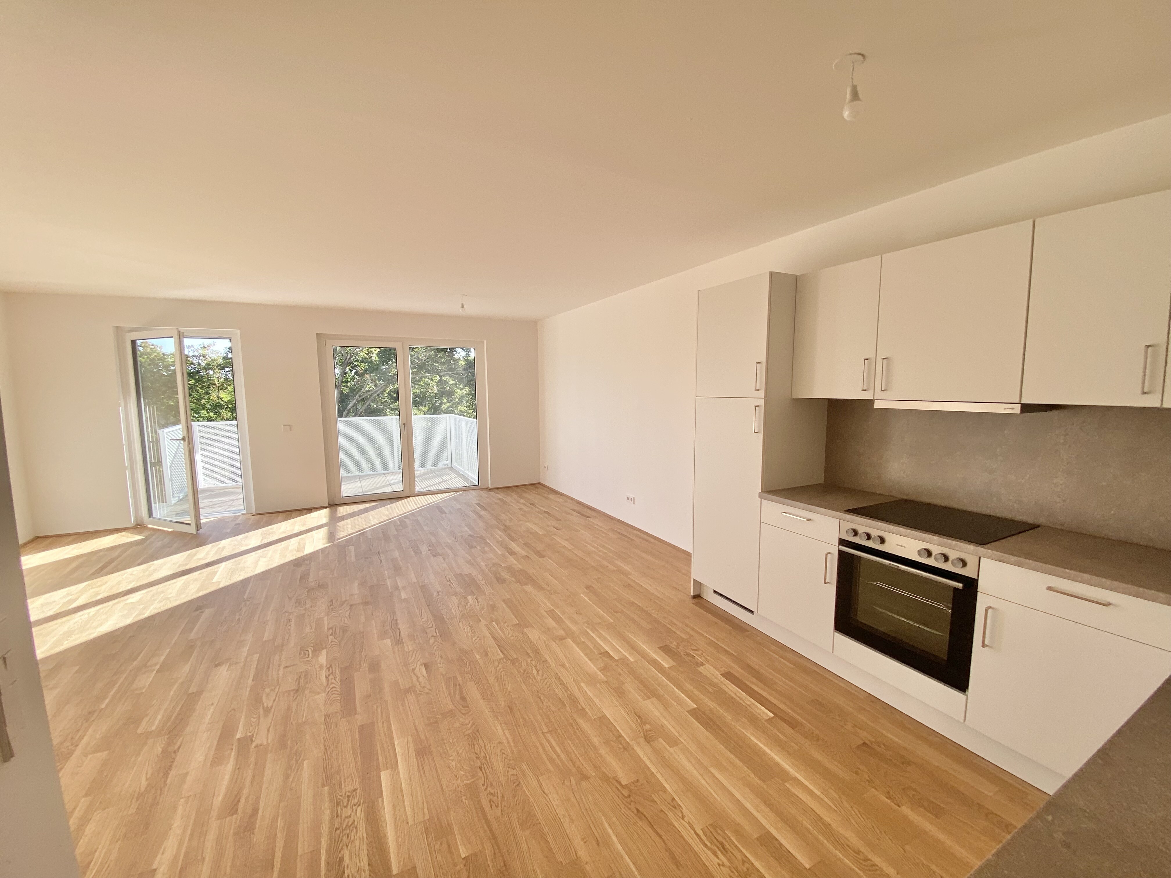 Wohnesszimmer mit Balkon 