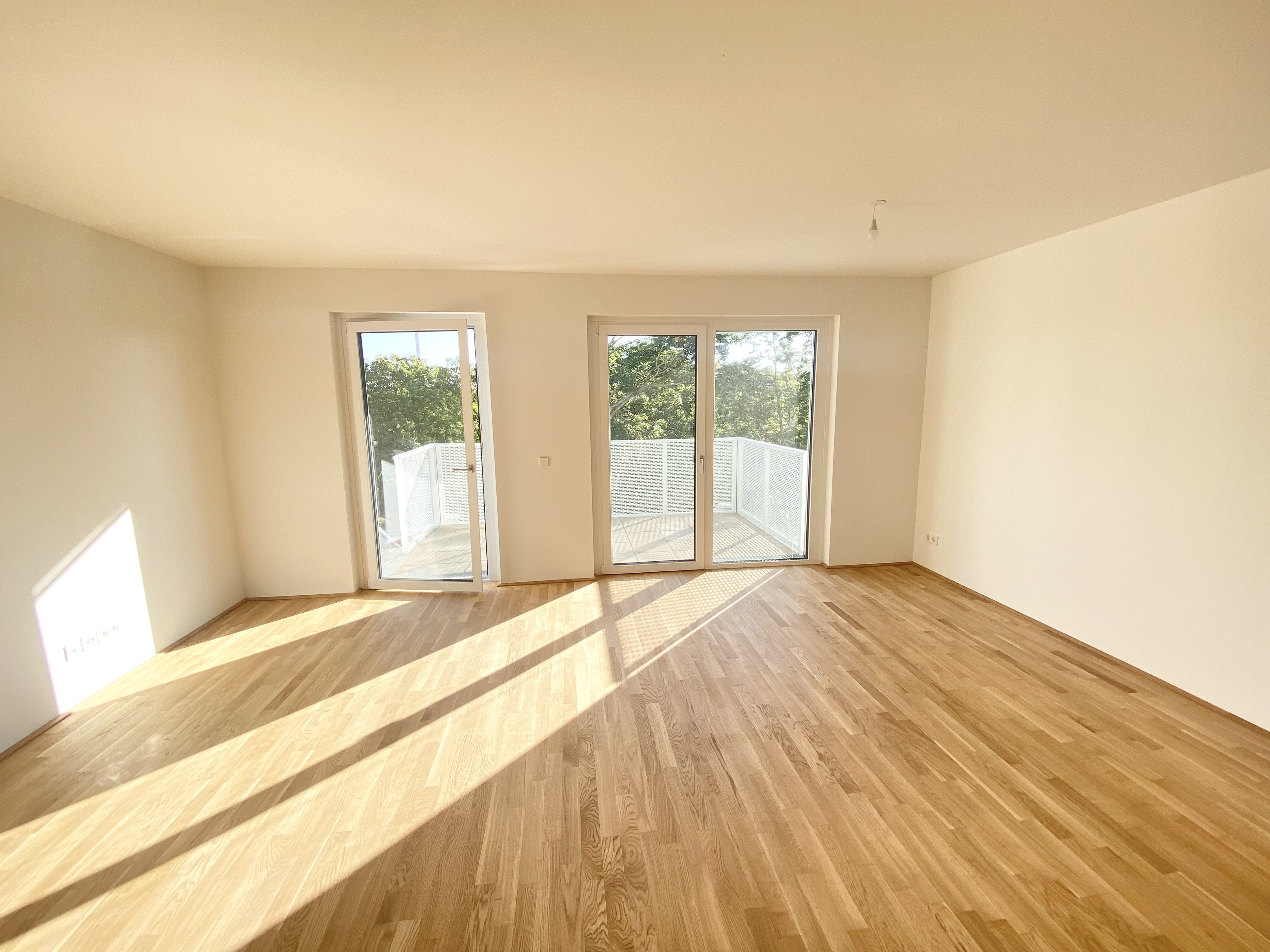 Großzügiges Wohnesszimmer 