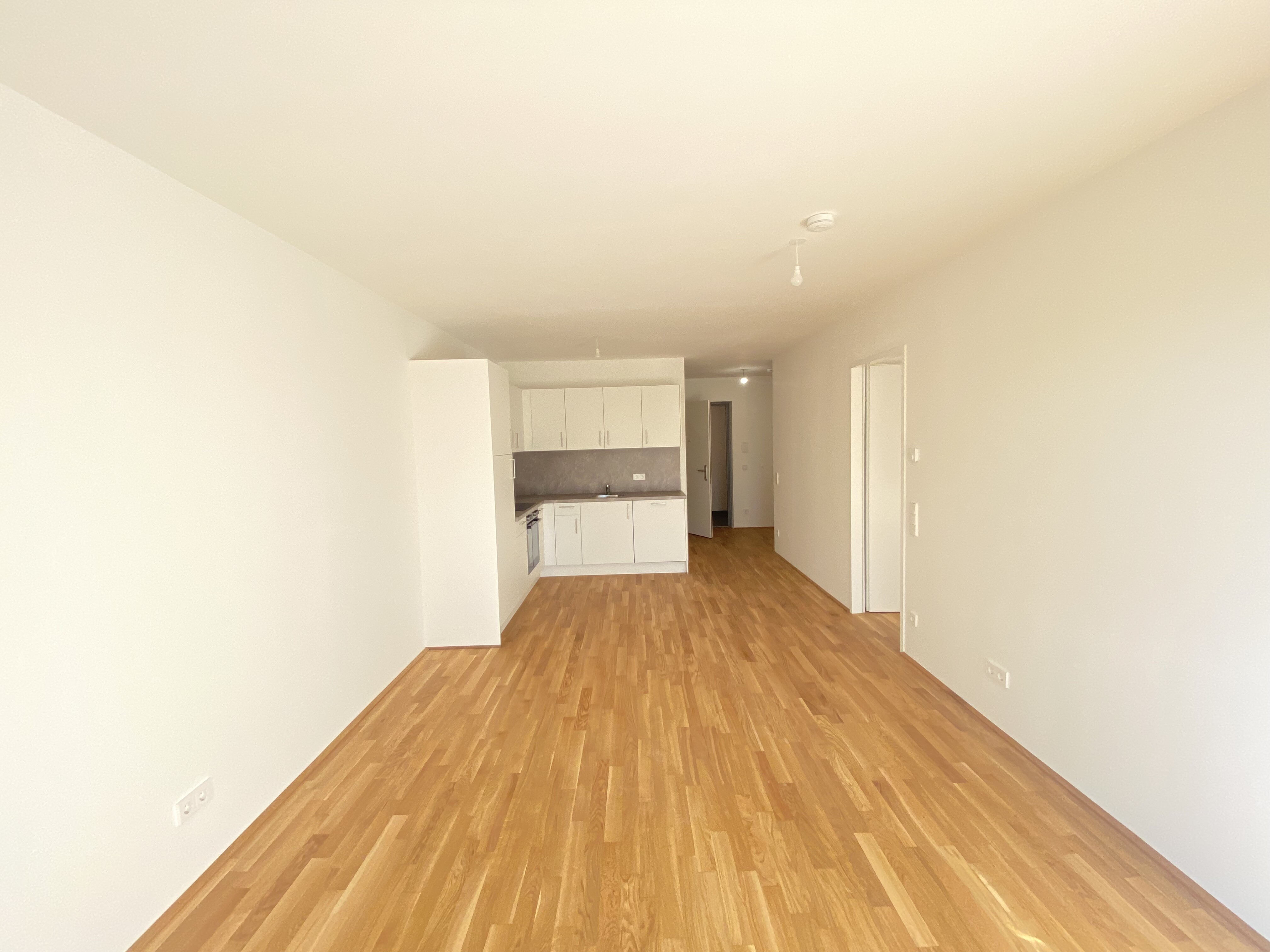 Wohnesszimmer 