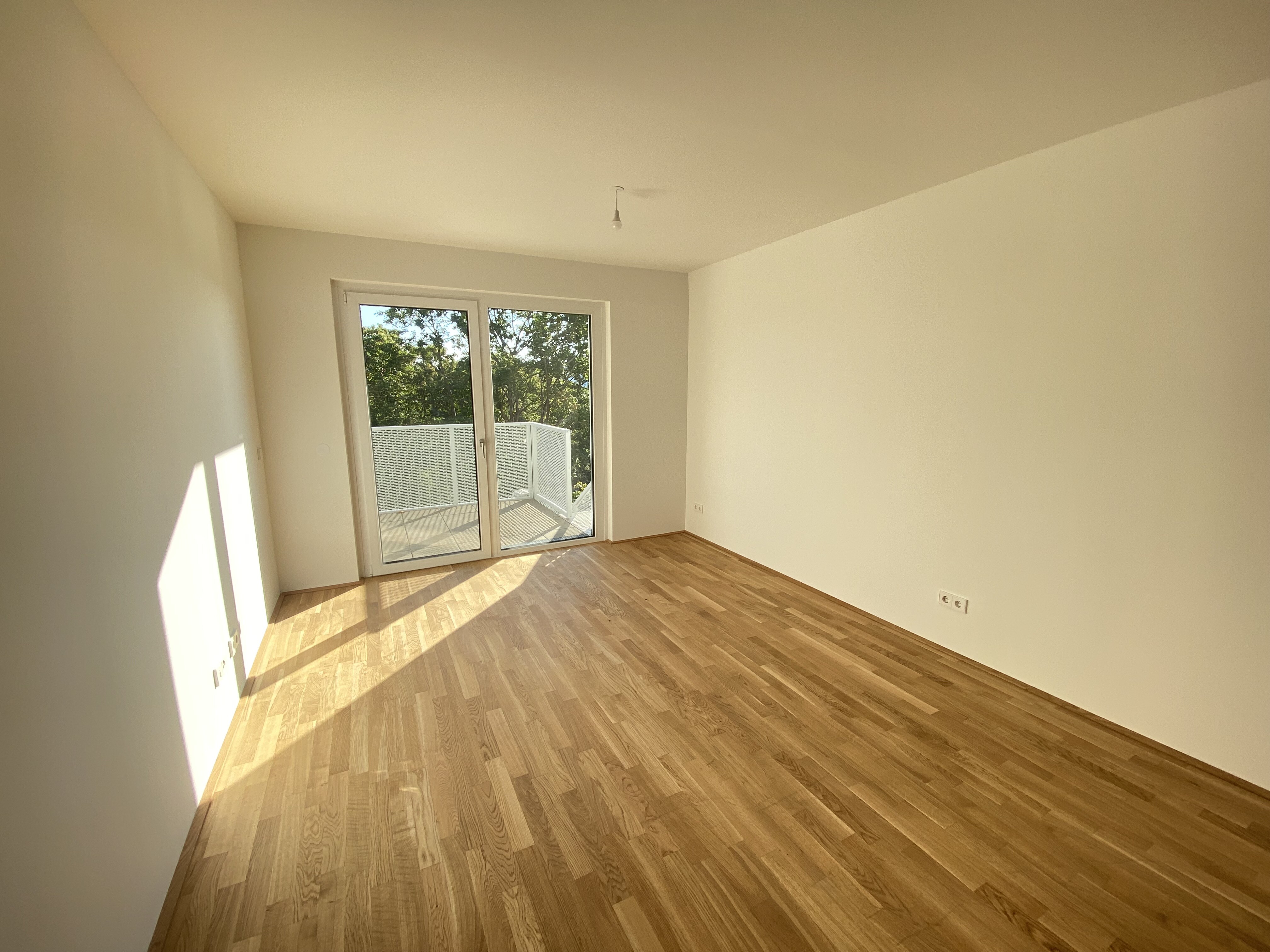 Wohnesszimmer 