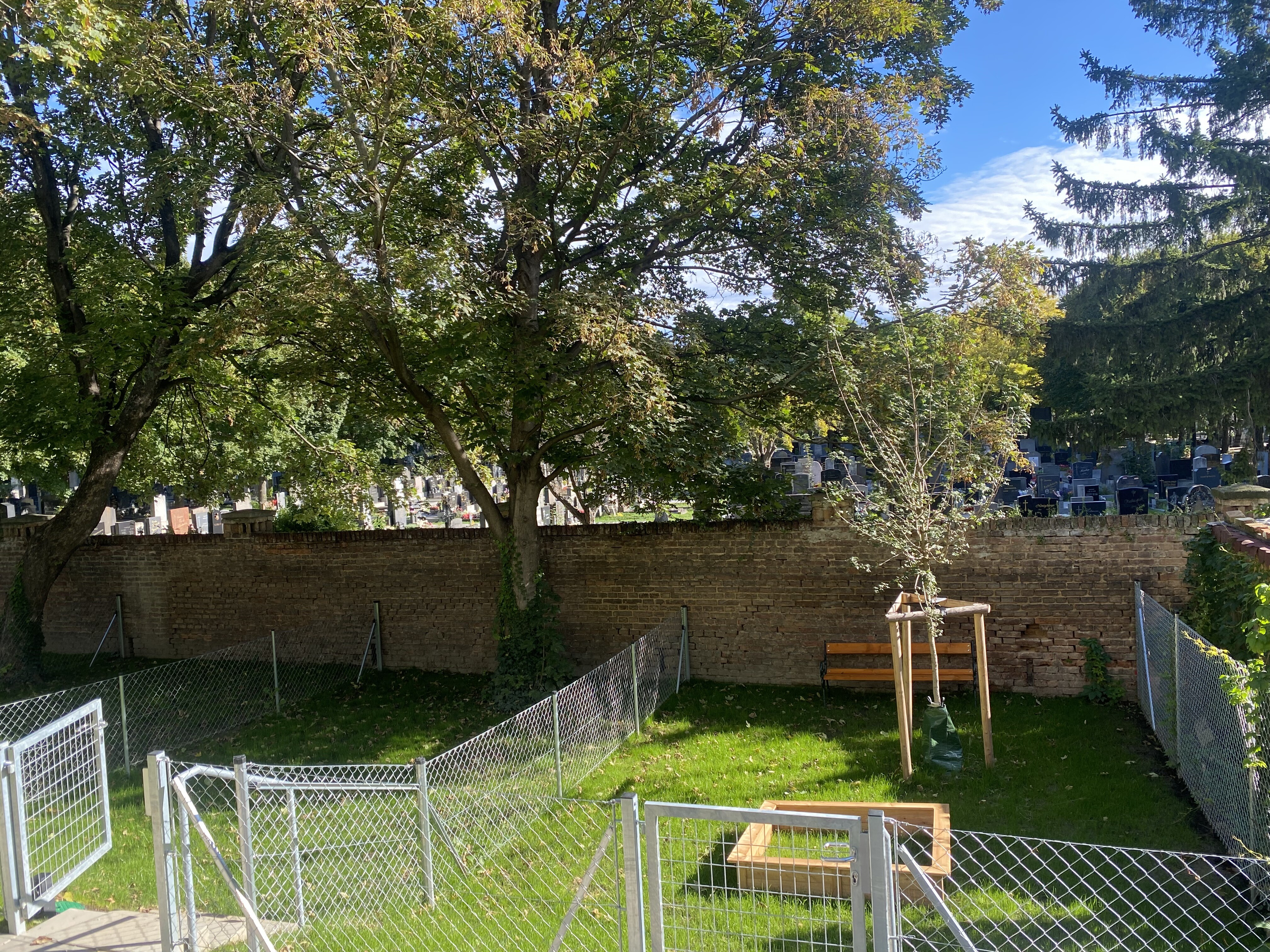 Gemeinschaftsgarten 