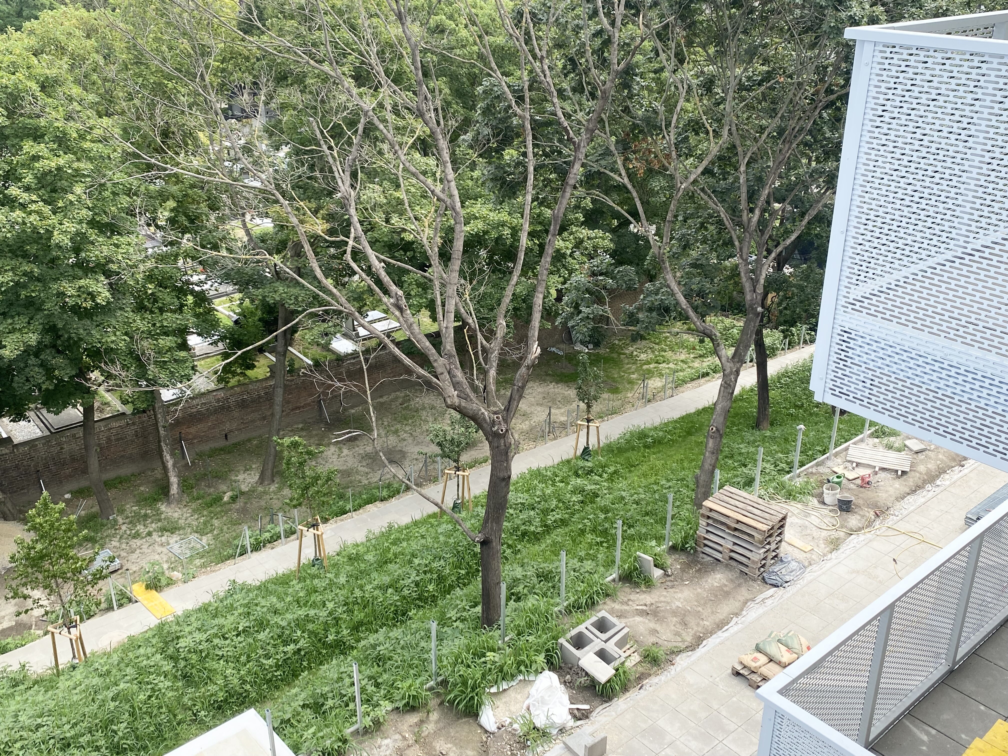 Gemeinschaftsgarten 