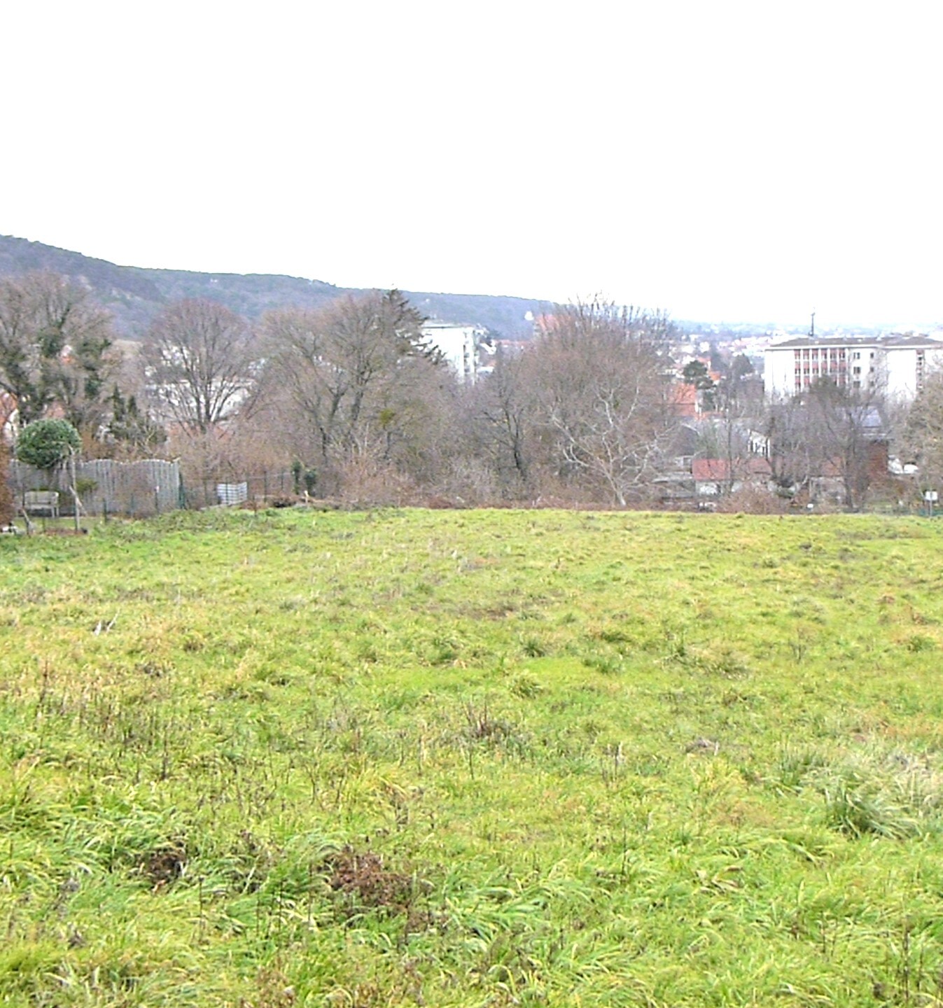 P1220007