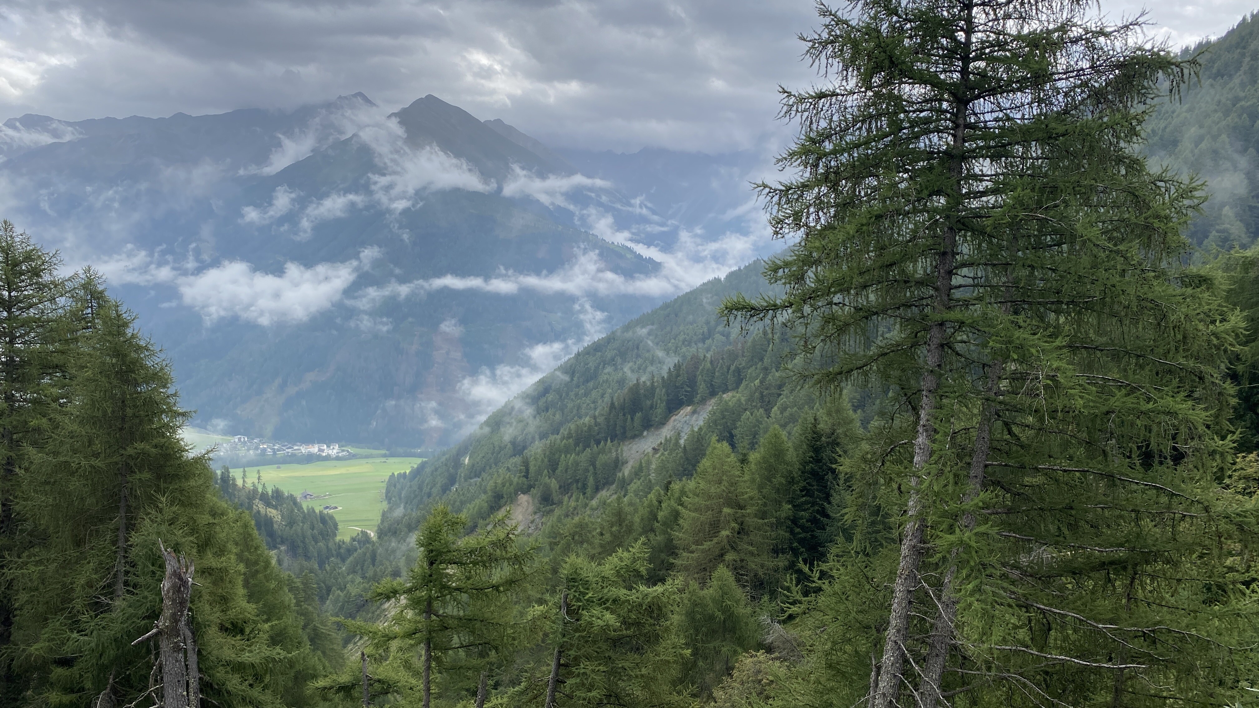 Waldparzellen